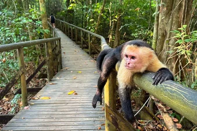 SJO to Manuel Antonio