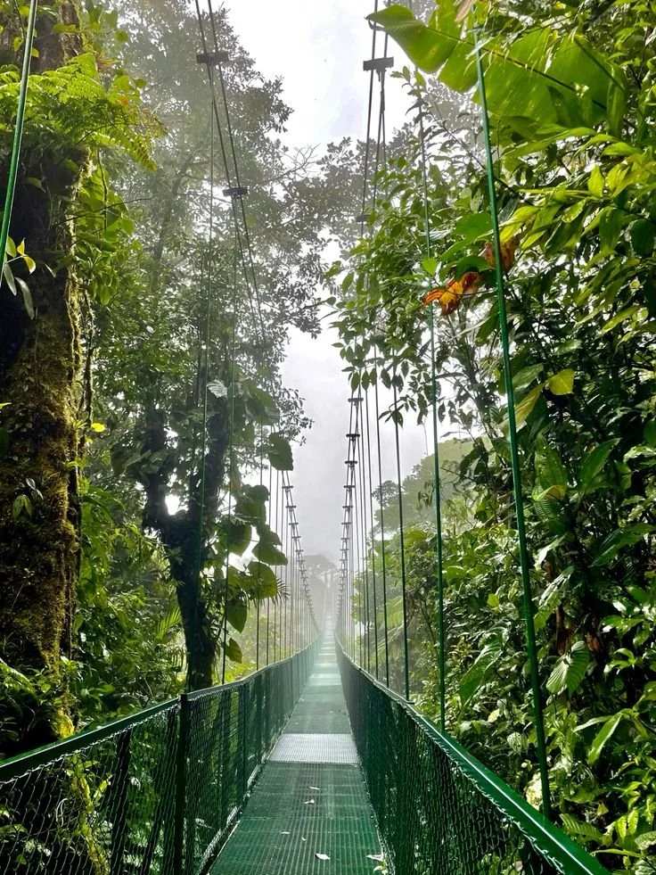 LIR Airport to Monteverde Transfer