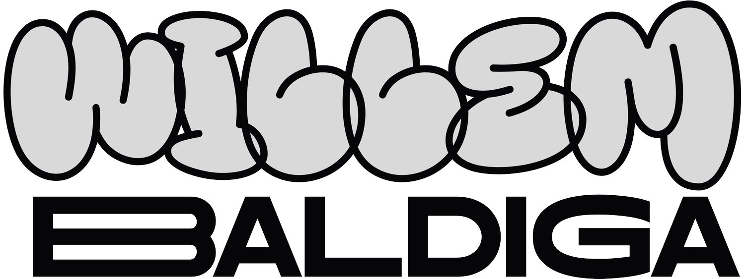 Willem Baldiga's Portfolio