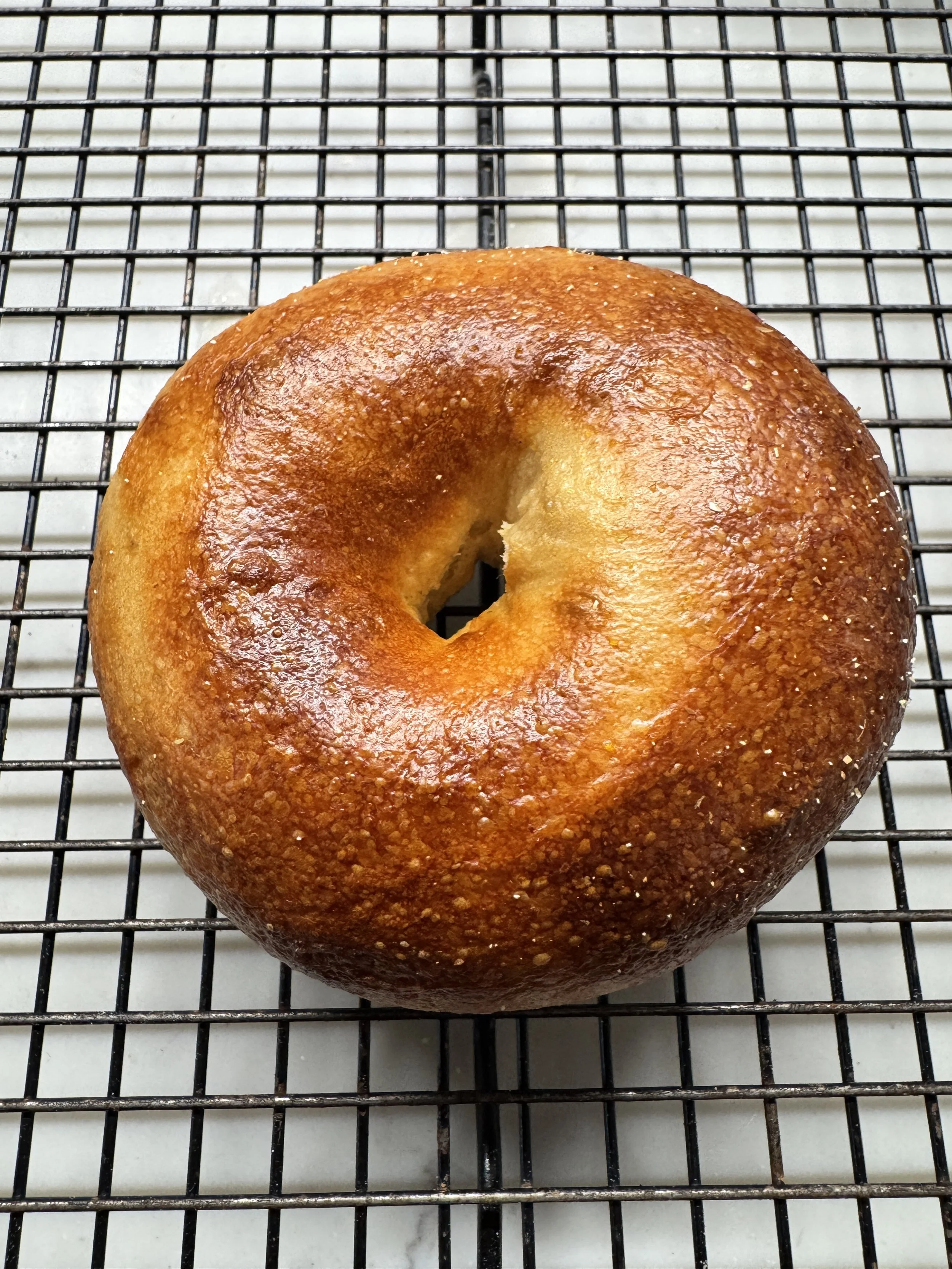 1 Dozen Bagels