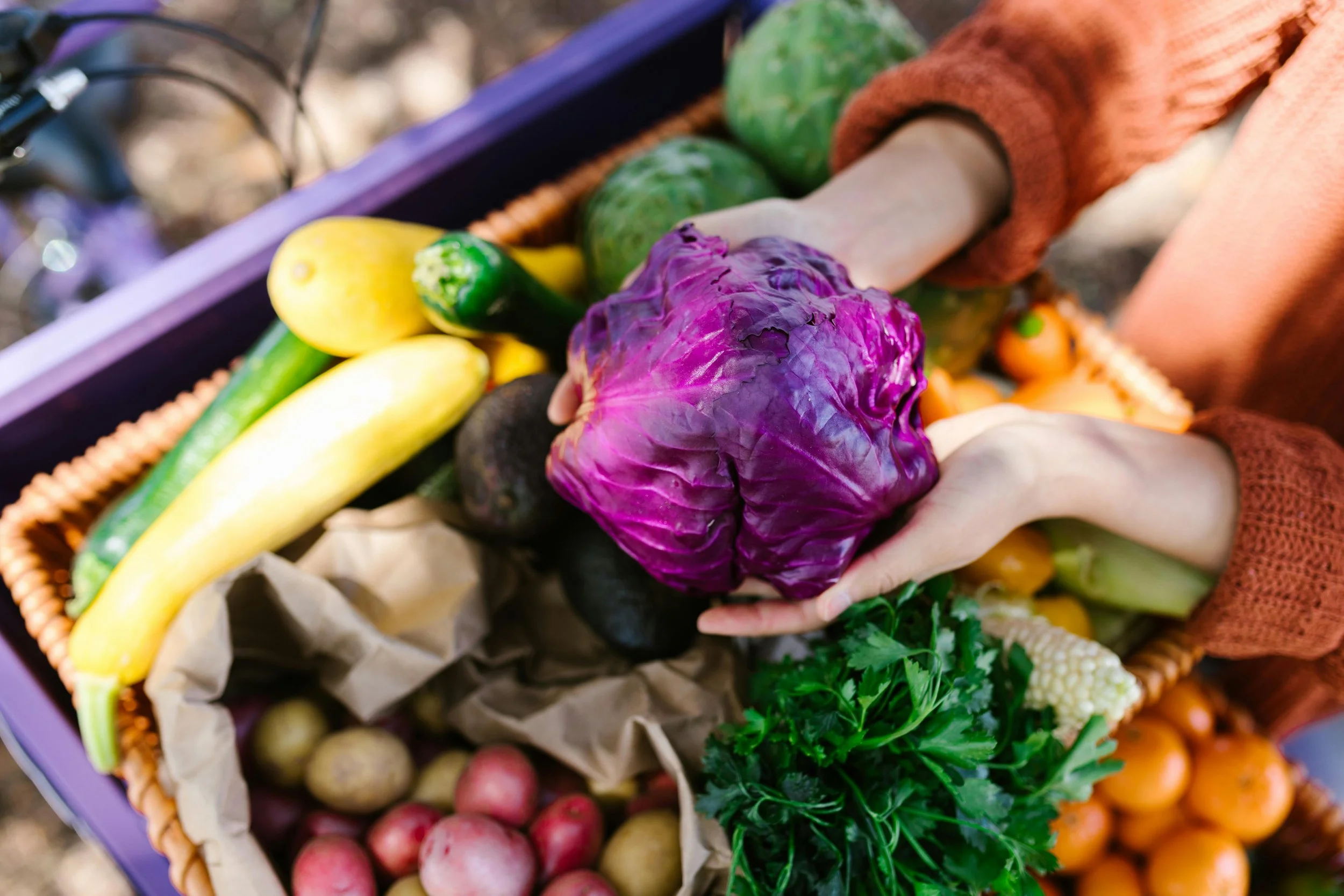 A colorful assortment of fresh vegetables and fruits in a basket, including purple cabbage, yellow zucchini, green zucchini, small orange tomatoes, radishes, and leafy greens.