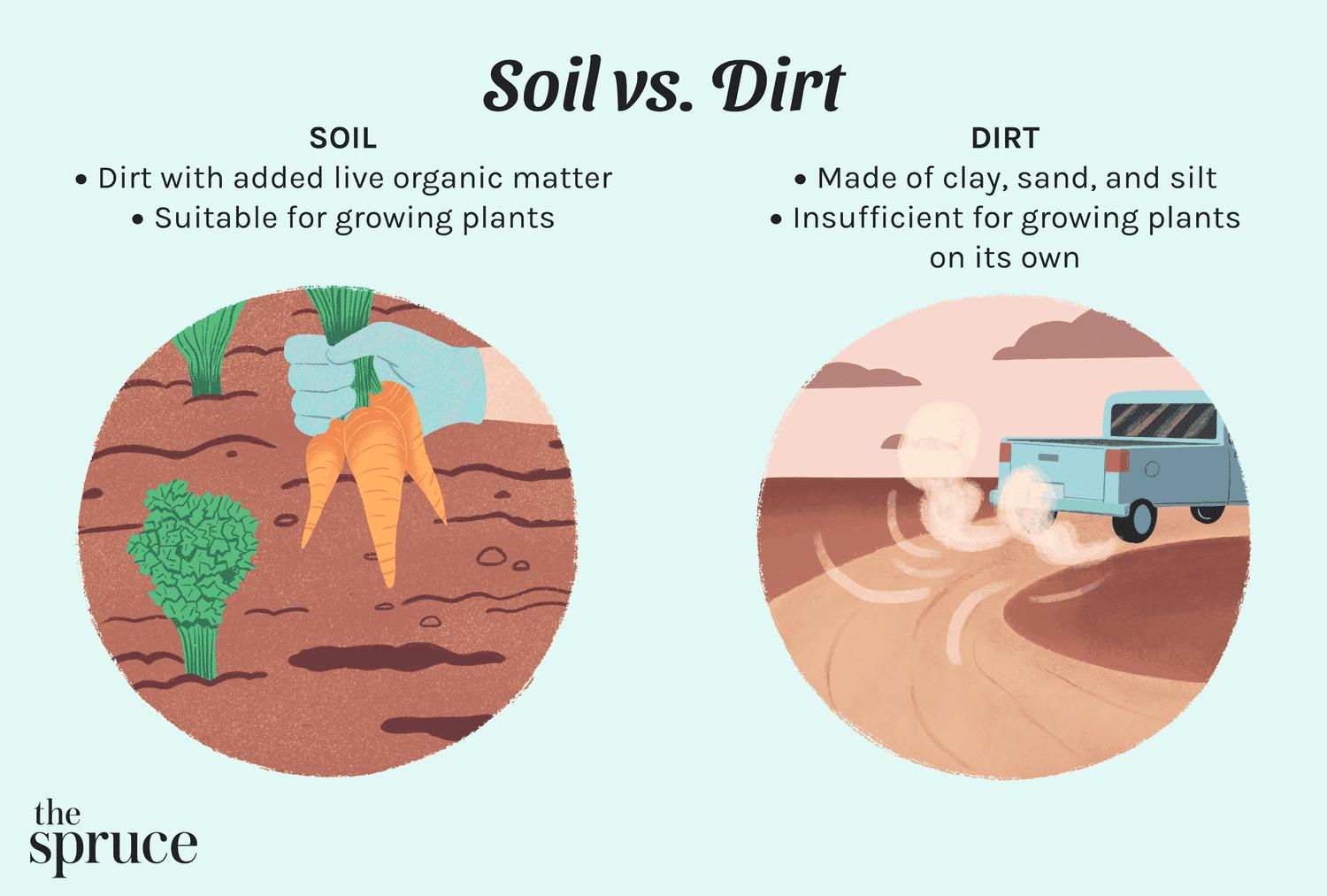 An infographic compares soil and dirt, showing soil as dirt with added organic matter suitable for plants, and dirt as made of clay, sand, and silt, not supportive for plants, with illustrations of soil with carrots and greens and dirt with a vehicle on a dirt road.