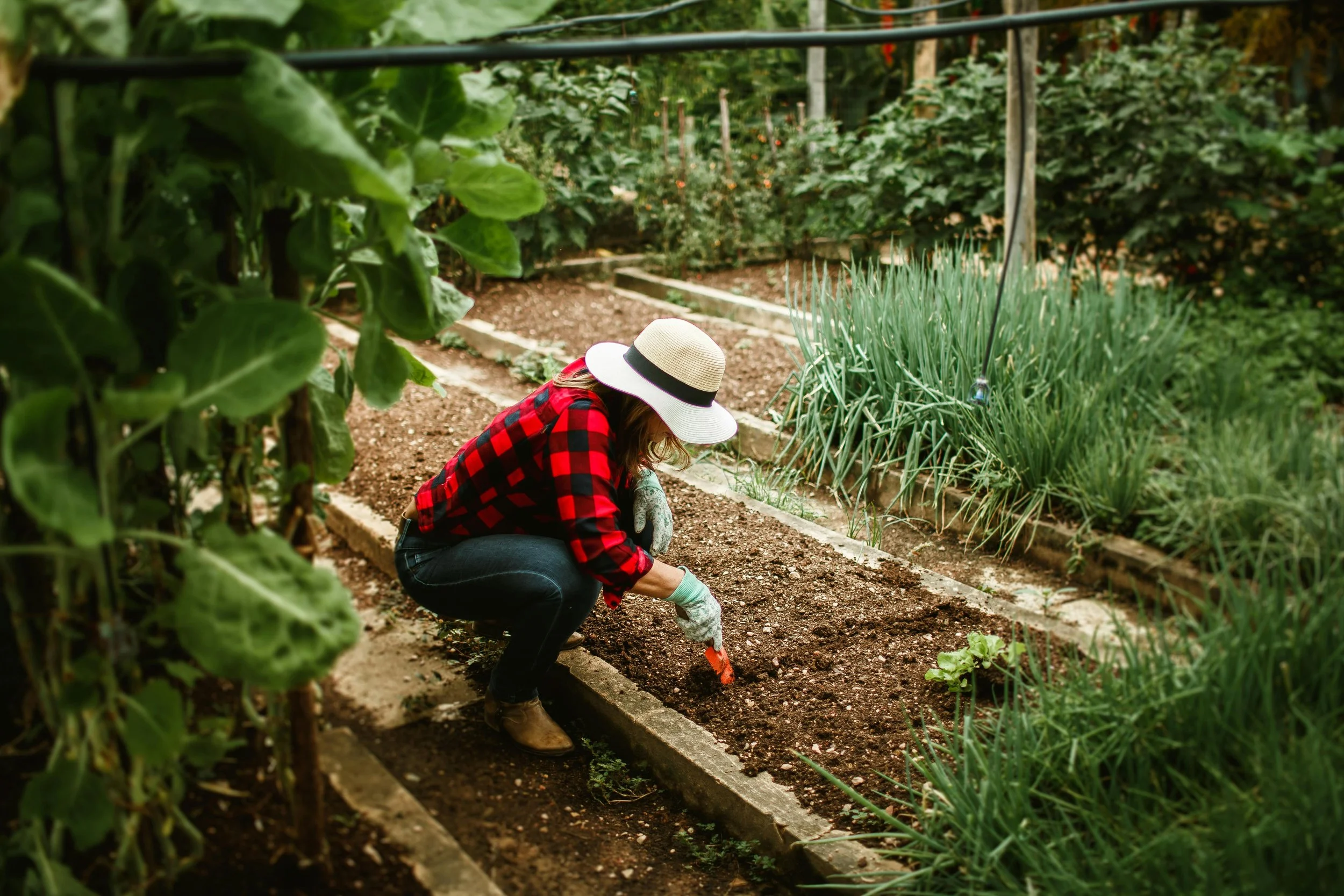 A woman wearing a large sun hat and a red plaid shirt is gardening in a community garden. She is kneeling and planting seeds in a prepared soil bed surrounded by other plant beds with green plants and vegetables.