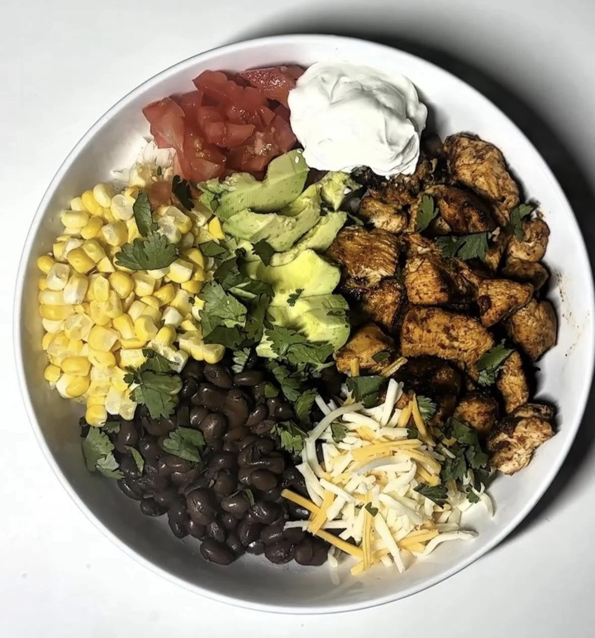 Nutrition and Body Optimization Program