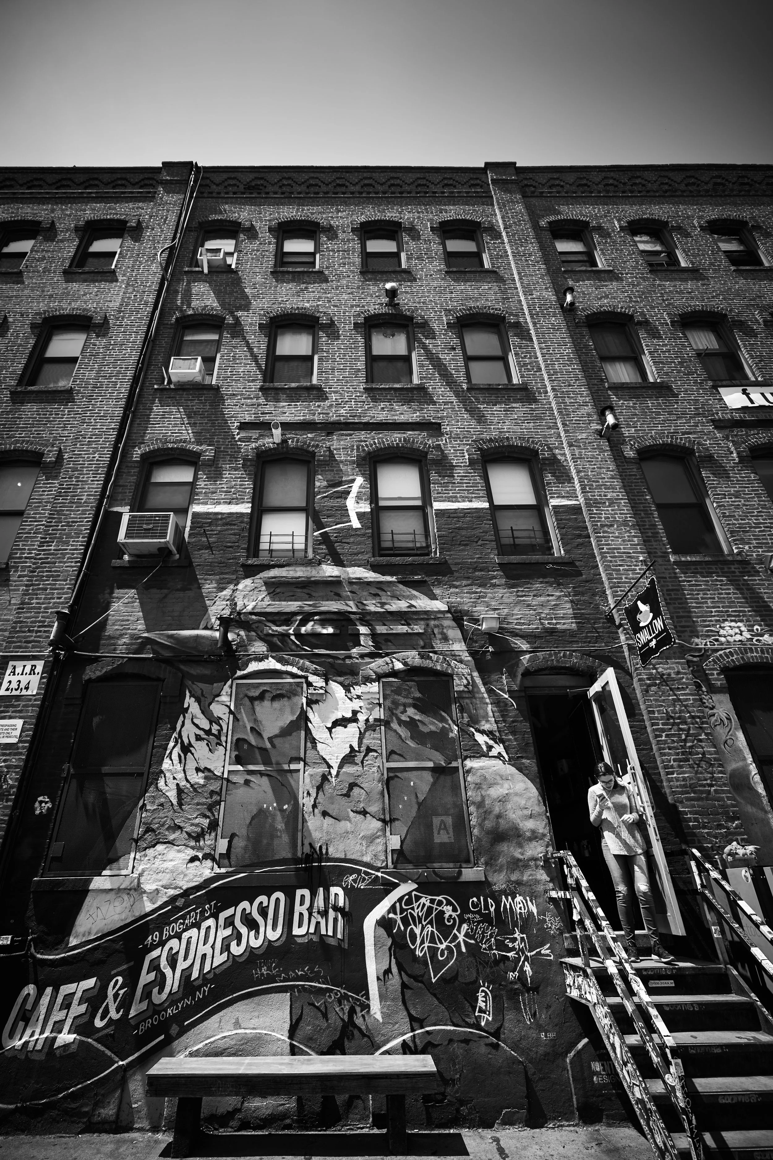 Murals_Brooklyn_17_Half.jpg