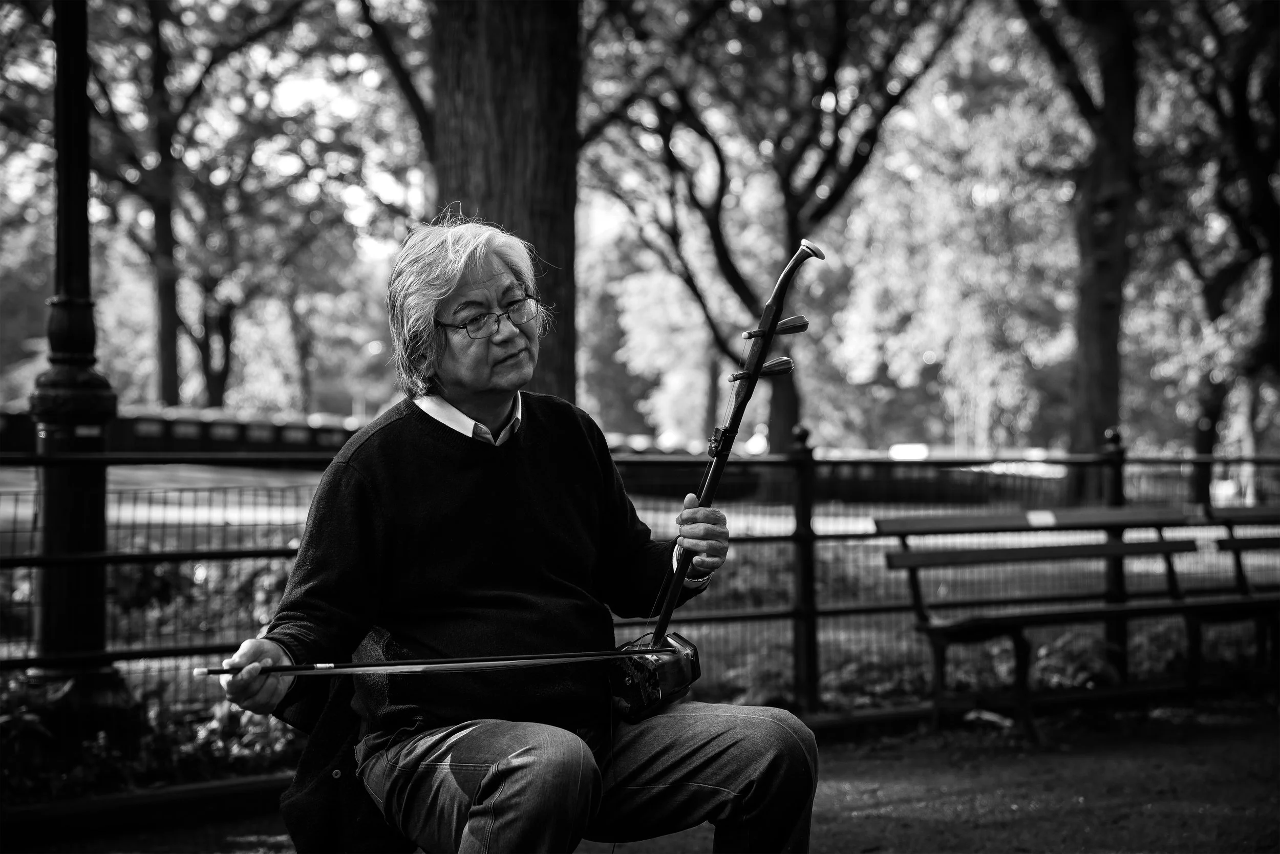 Central_Park_Erhu_Half.jpg