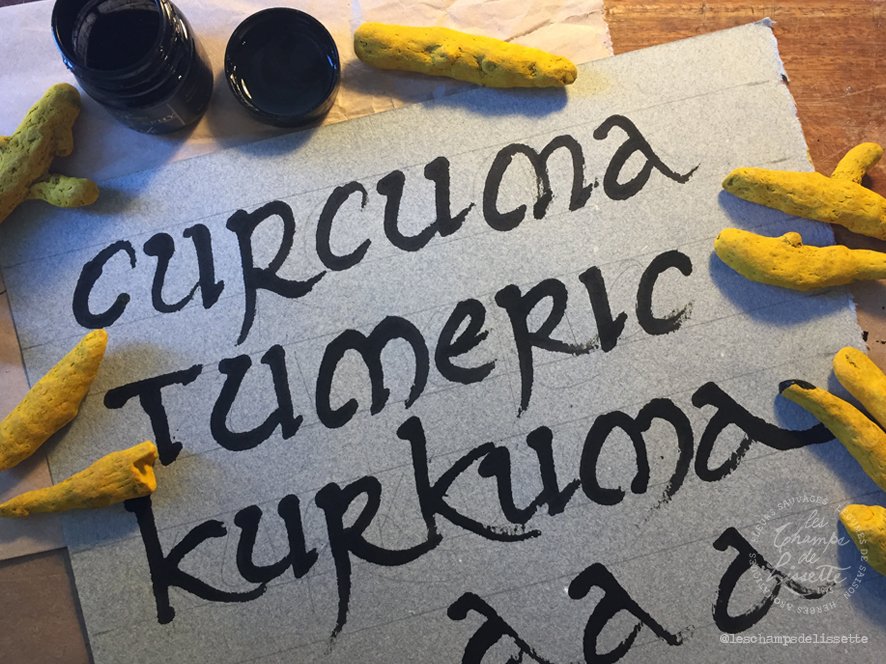 curcuma.jpg