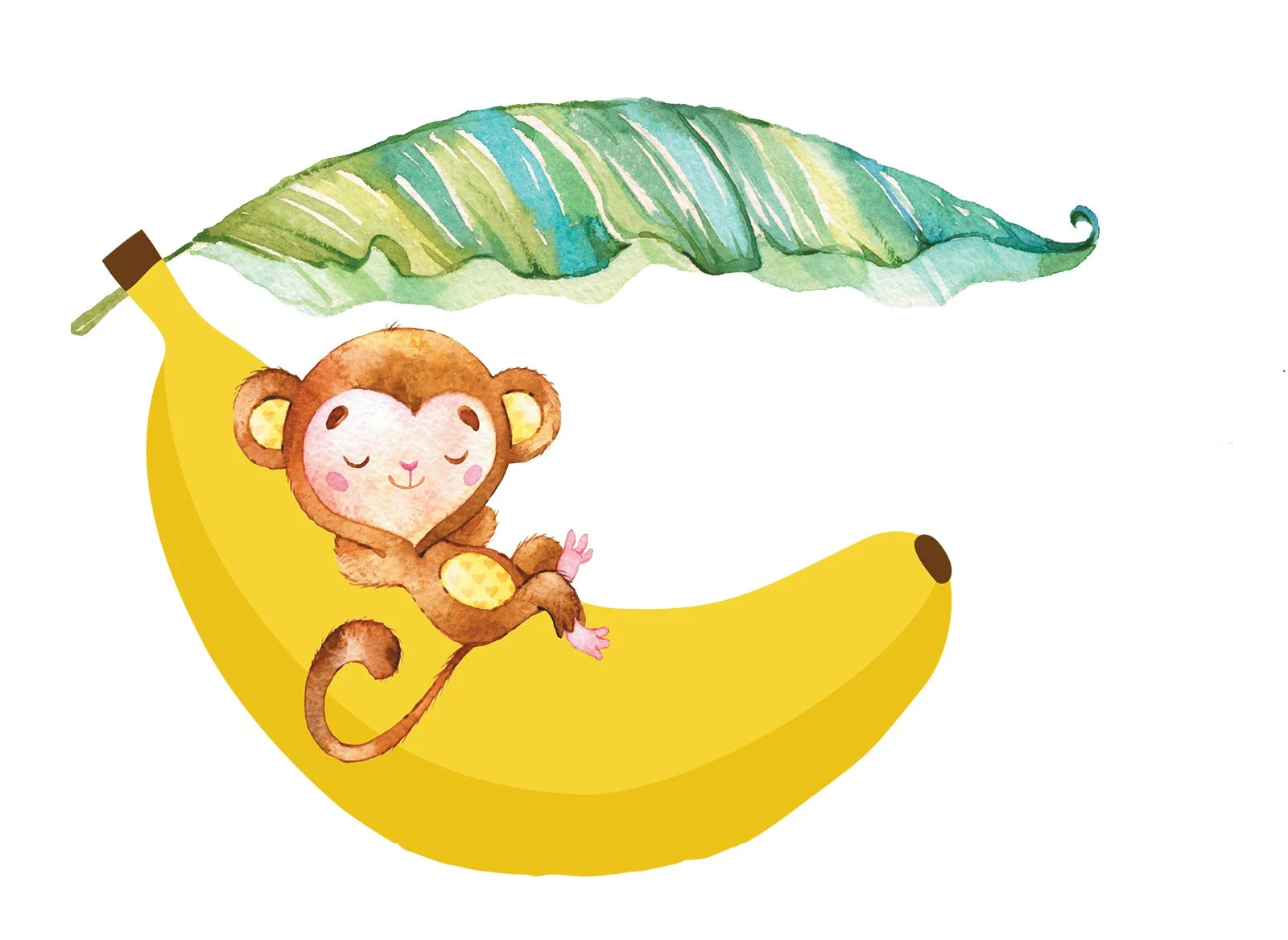 BananaBe_BB_eng-5.jpg
