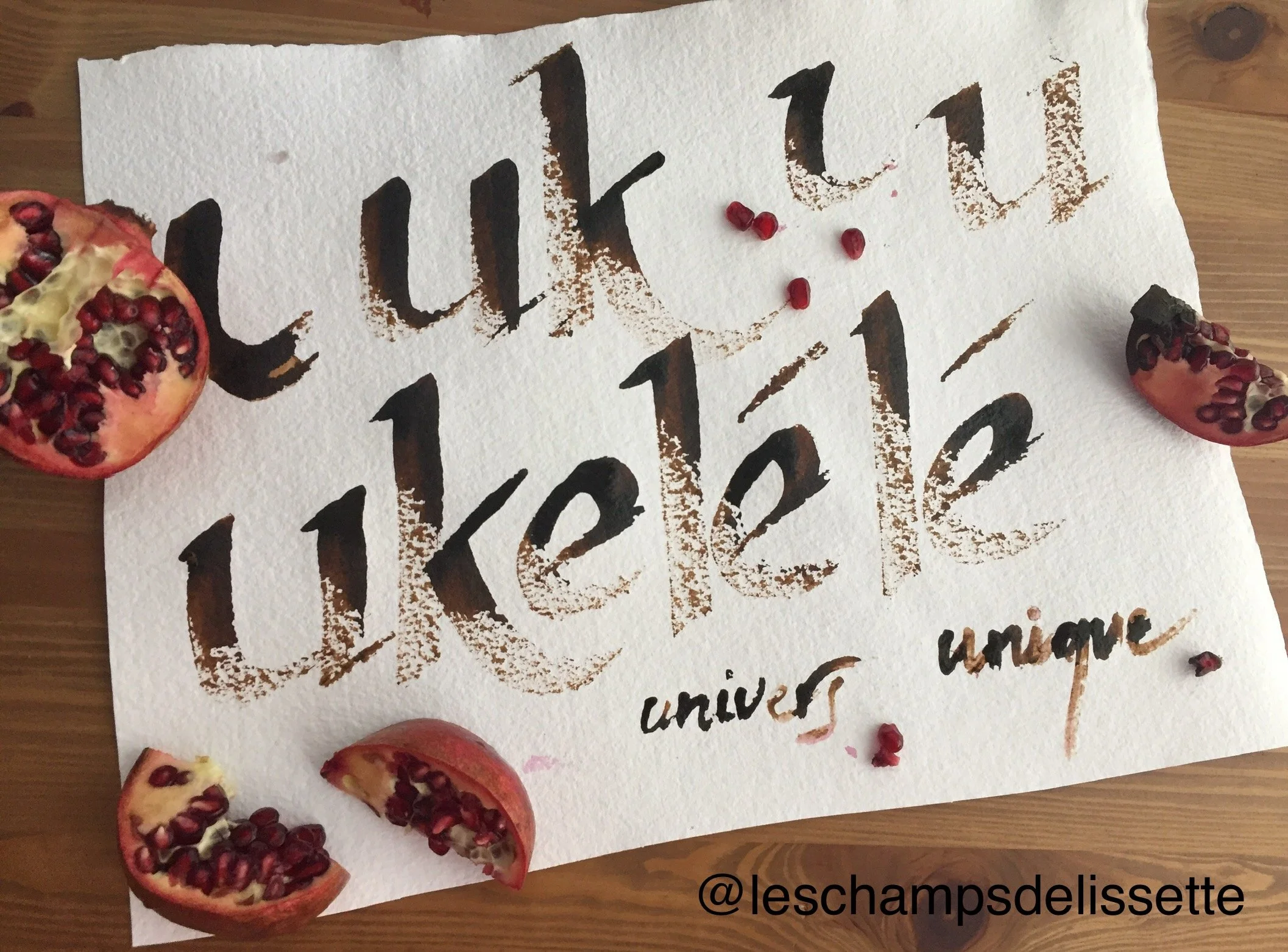 Pomegranate_ukelele_Floride.jpg
