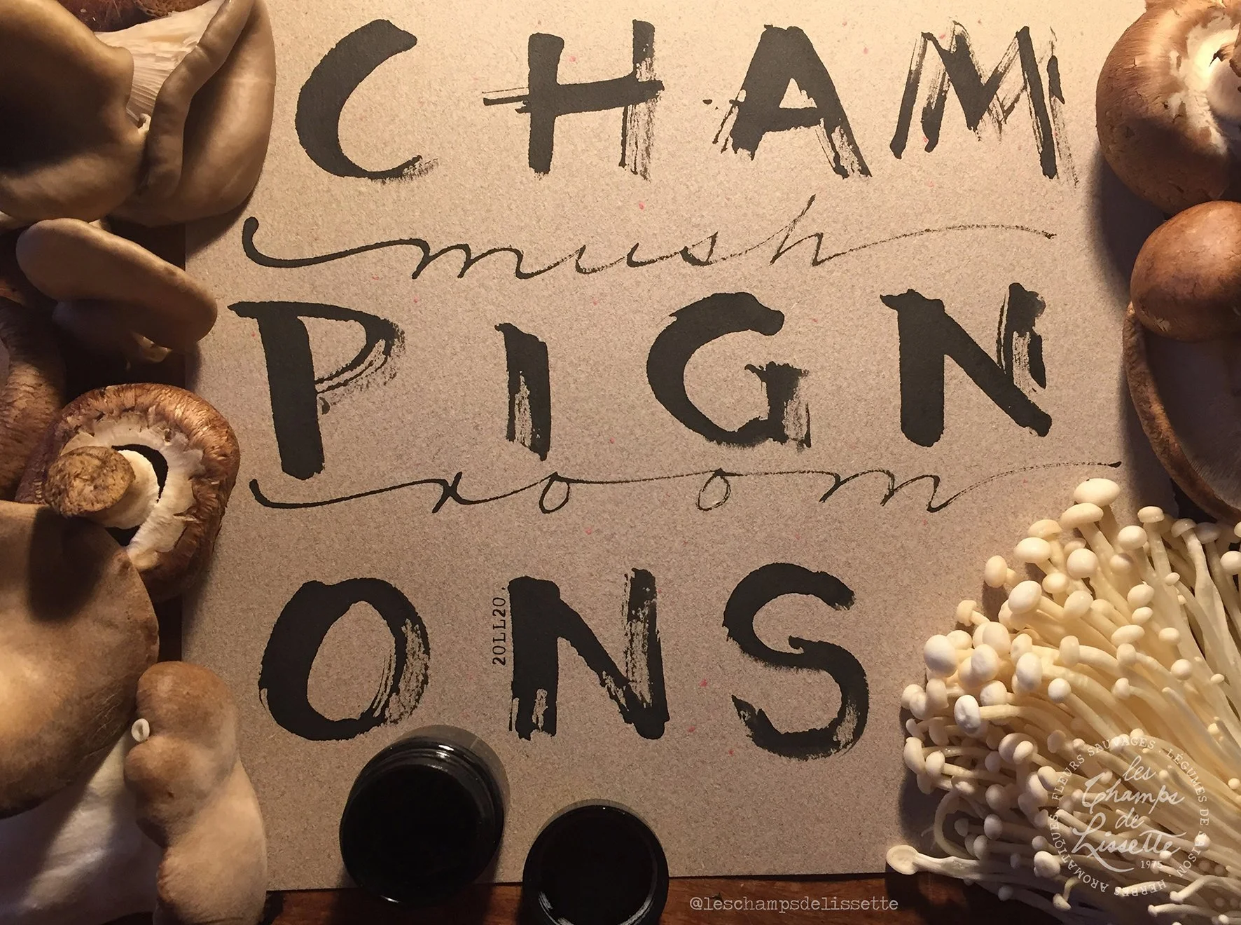 champignon.jpg