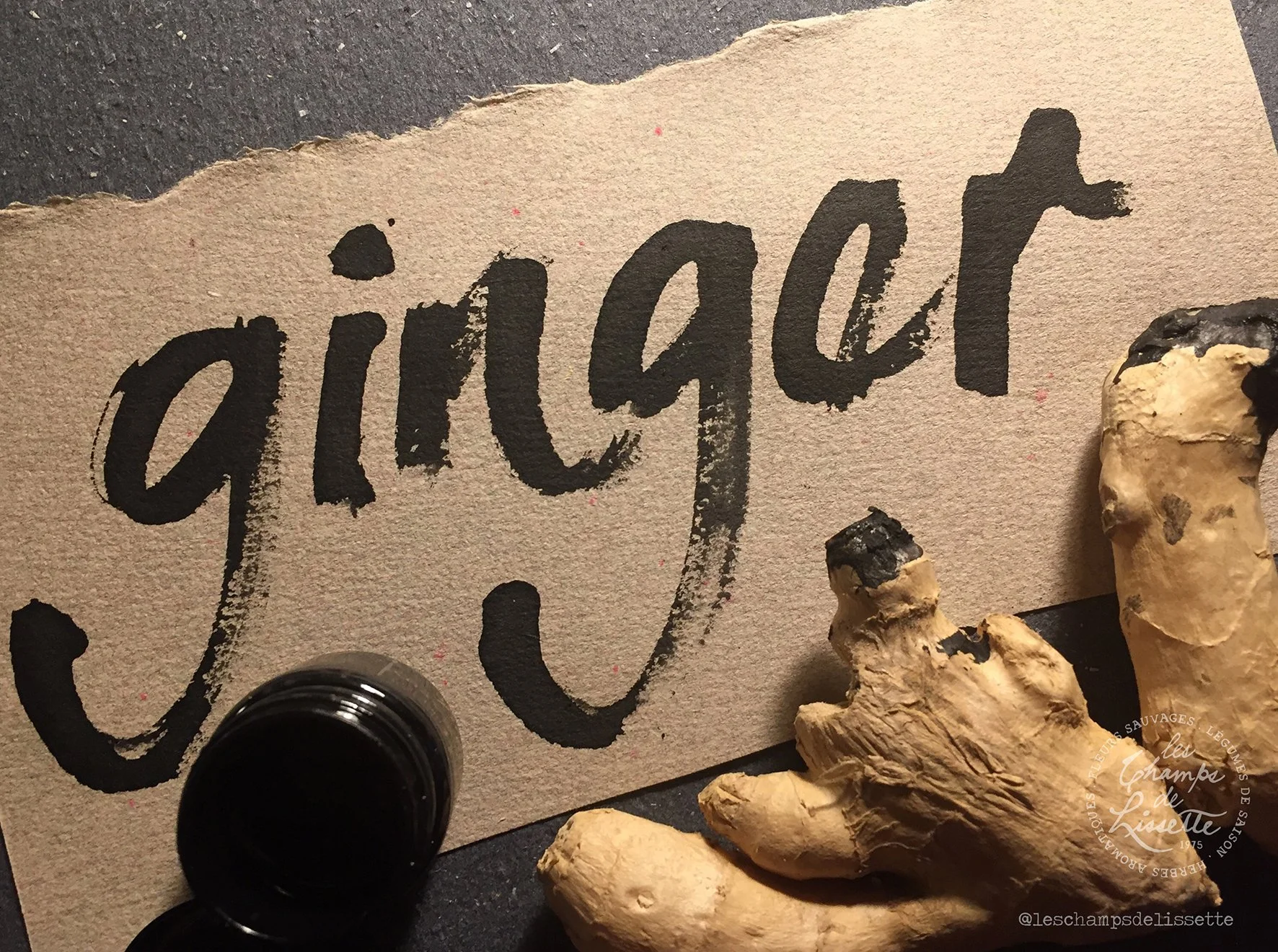 ginger.jpg
