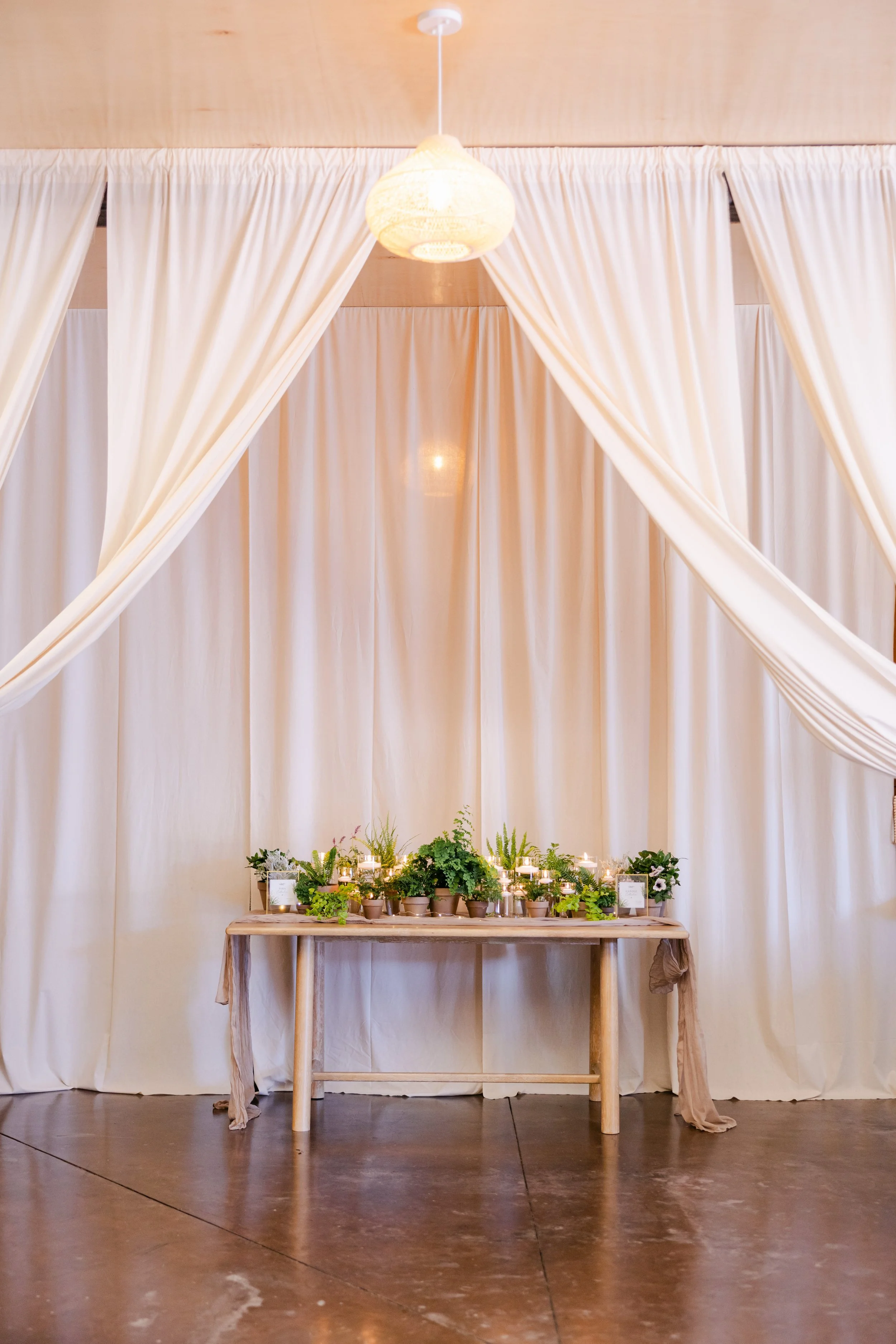 A simple wedding or event decoration setup with a wooden table covered with green plants, candles, and small pictures in pots placed against a beige curtain backdrop and a cream-colored fabric draped around the table.