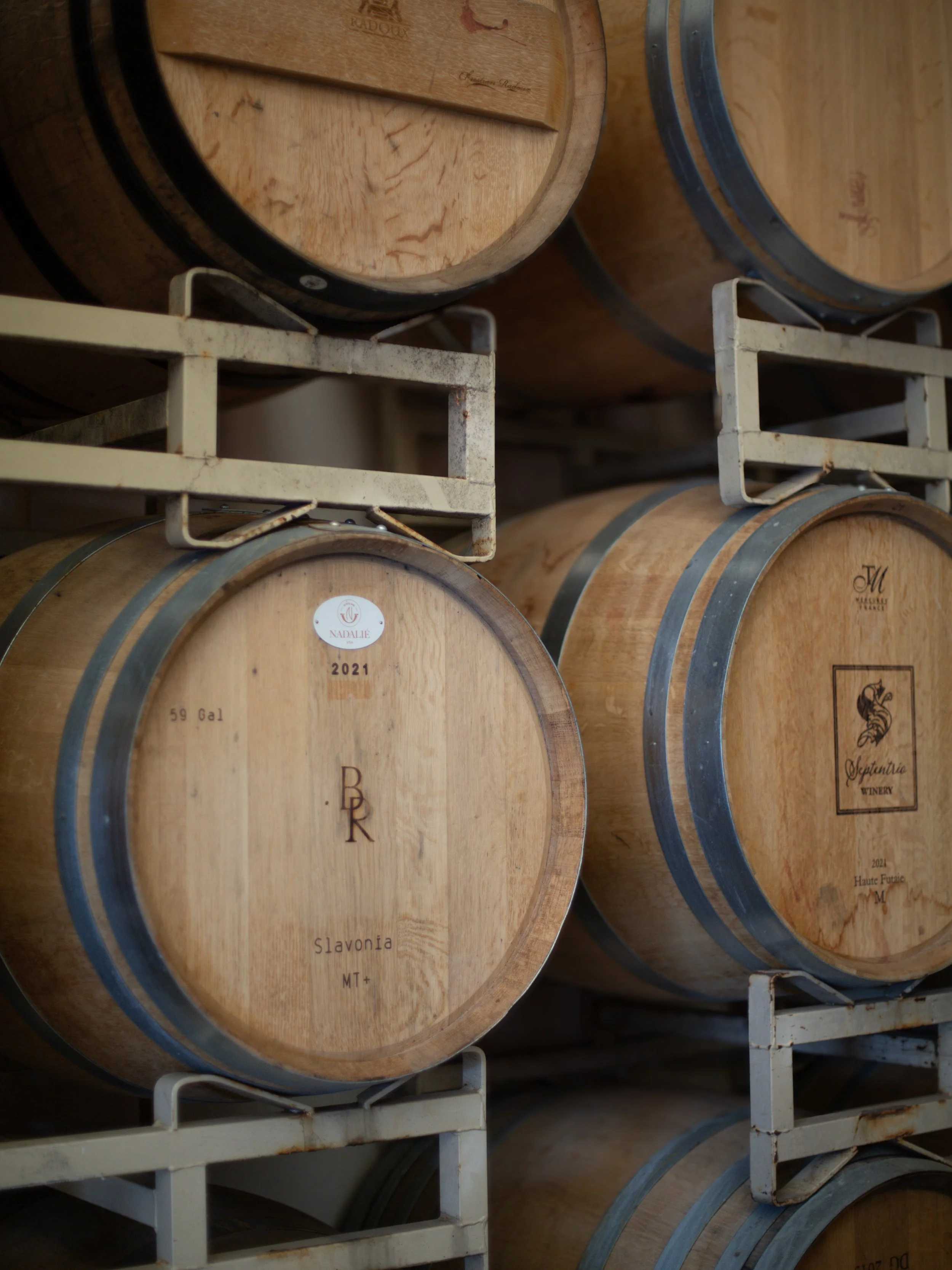 Several wooden wine barrels stored on white metal racks, with labels and markings visible on some of the barrels.