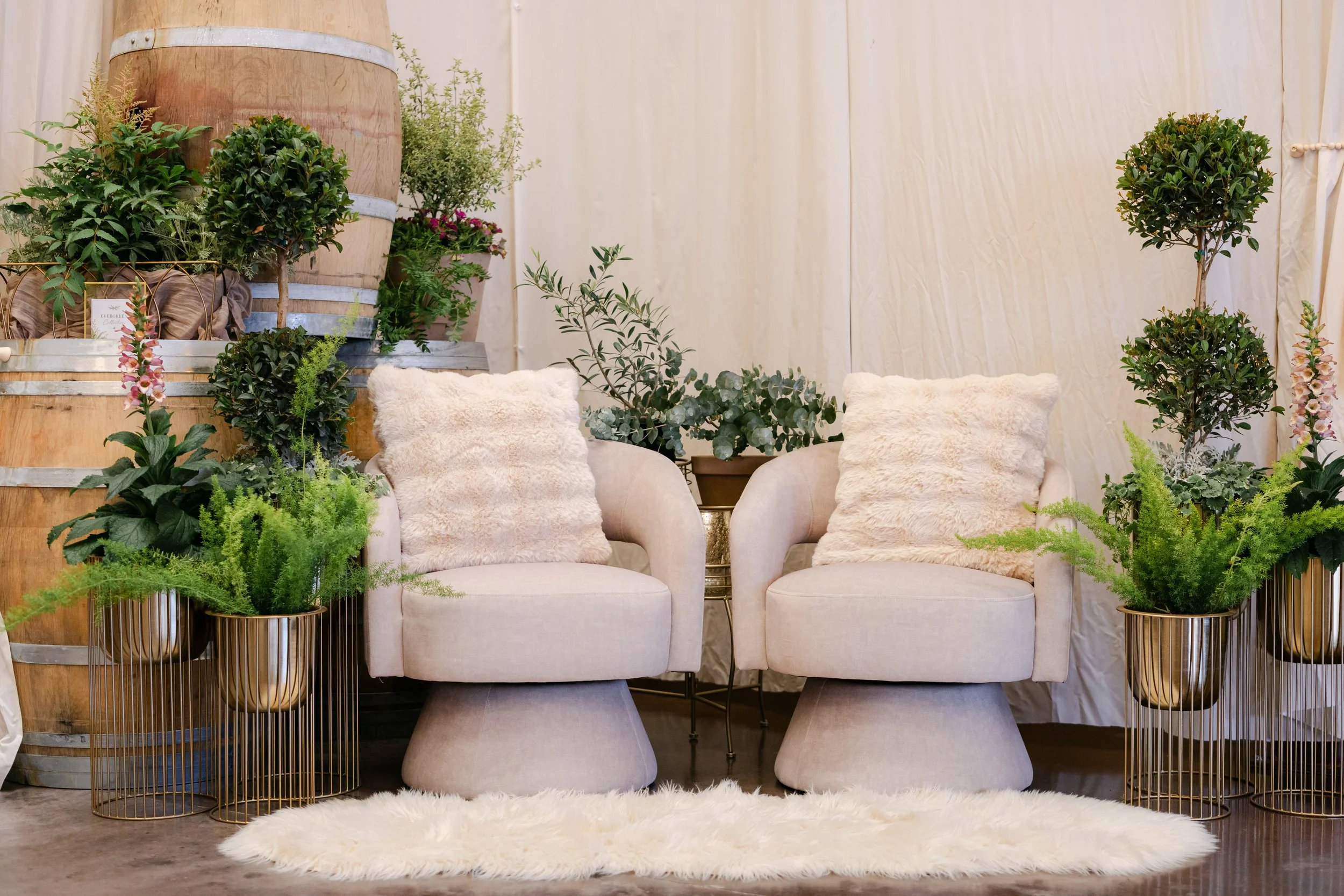 Two beige armchairs with fluffy pillows surrounded by various green potted plants and flowers in gold-colored pots, with a cream curtain in the background and a white sheepskin rug on the floor.
