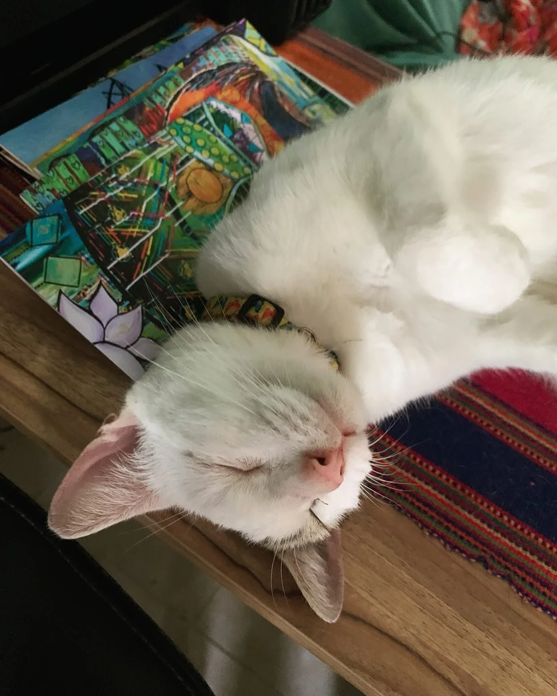 How will I package these orders? 🥹🐱😴🤍