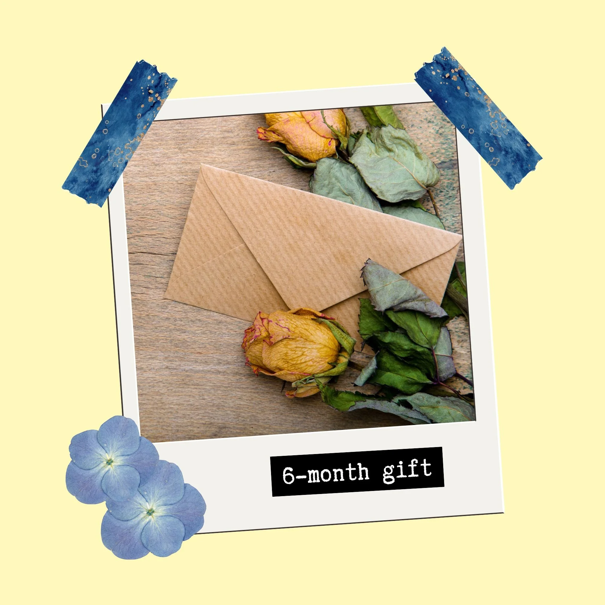 Give a 6-month Gift: Message in a Bottle Monthly Snail Mail Club (International)