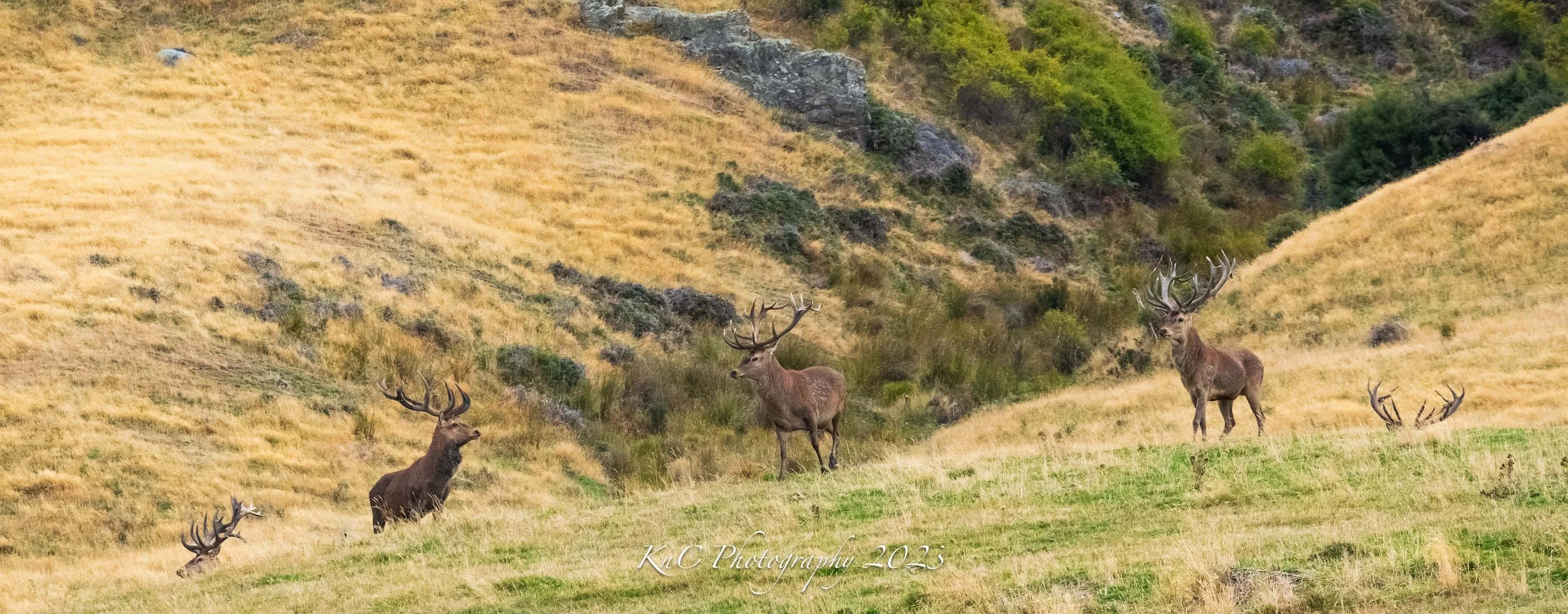 20230315-DSC_1594.jpg