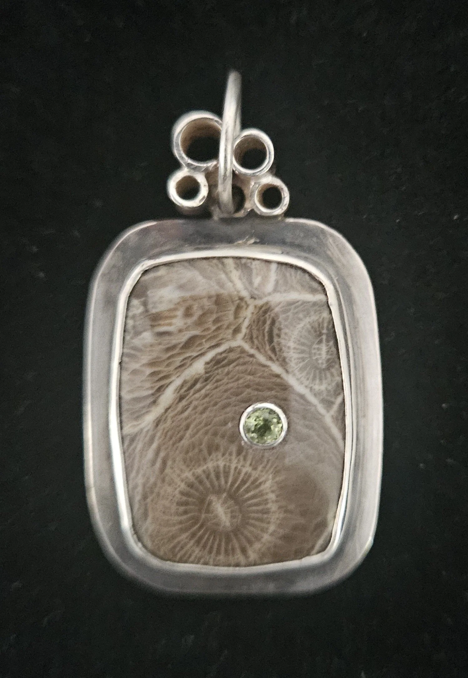 Petosky Stone with Peridot Inset