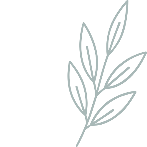 A black background with a minimalist outline of a plant with elongated leaves.