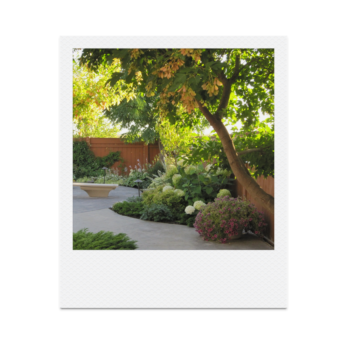 hoto of a garden retreat reflecting balance, growth, and life beyond work