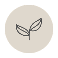 A simple line drawing of a small plant with two leaves in a circle.