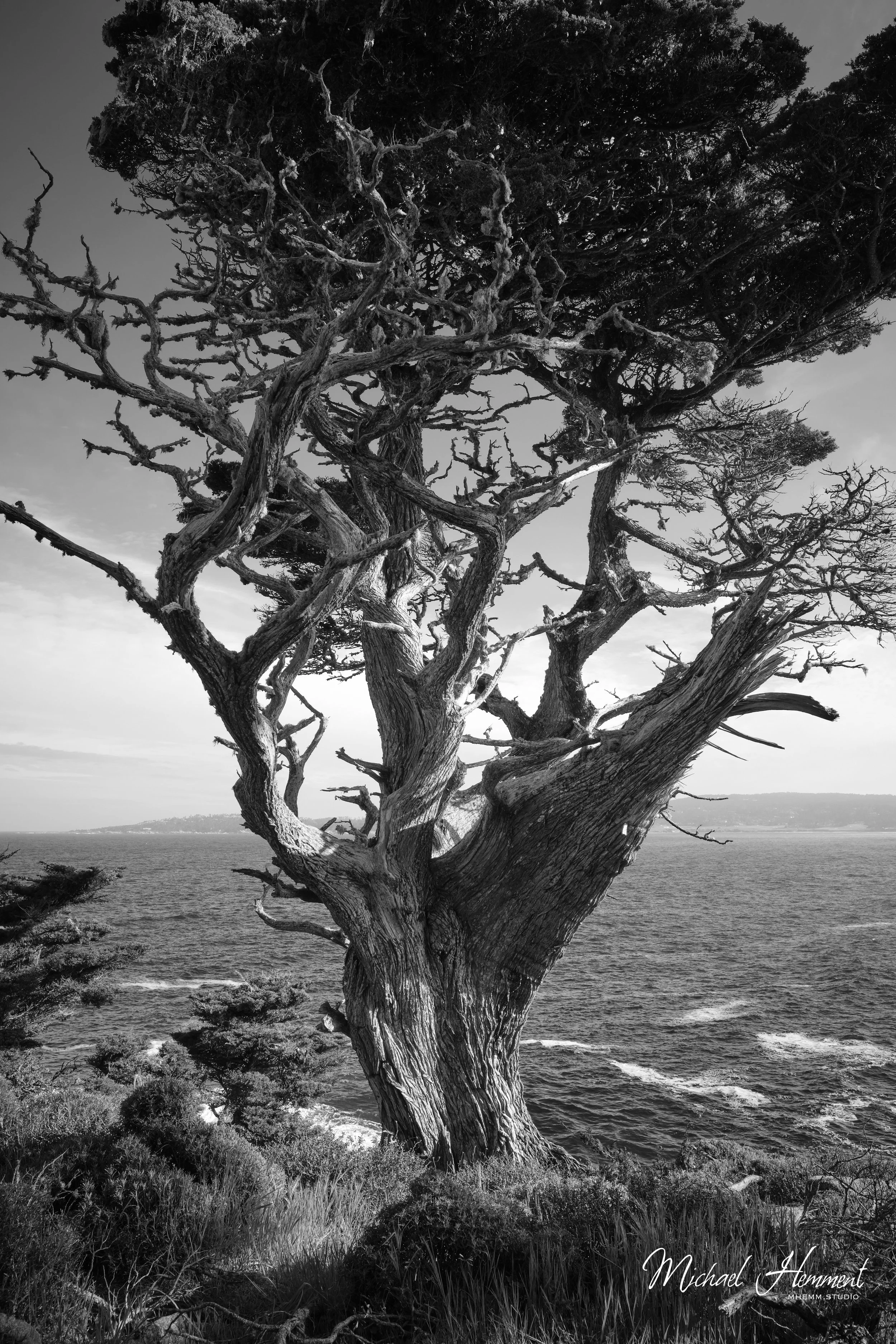 nature7.jpg
