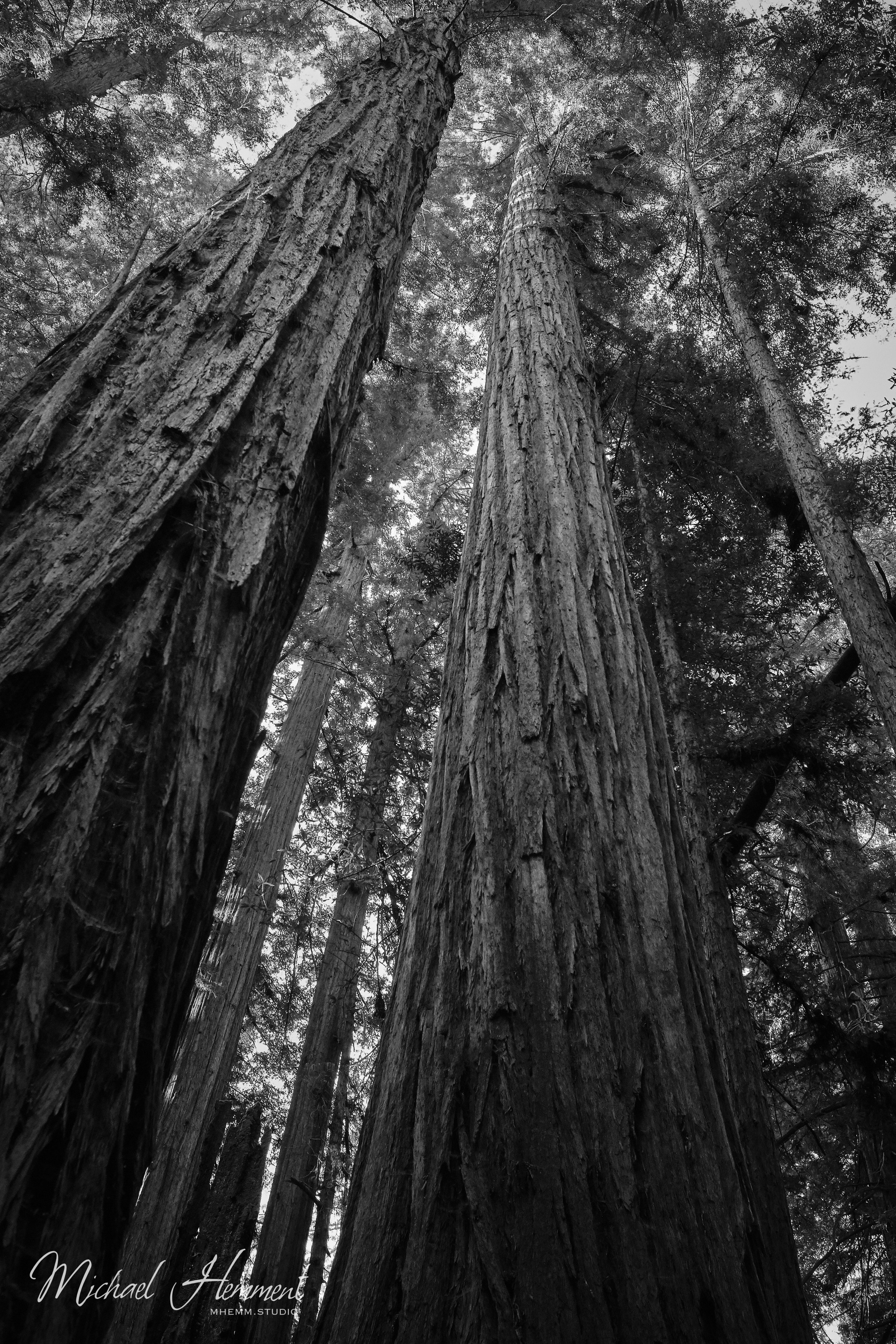 nature5.jpg