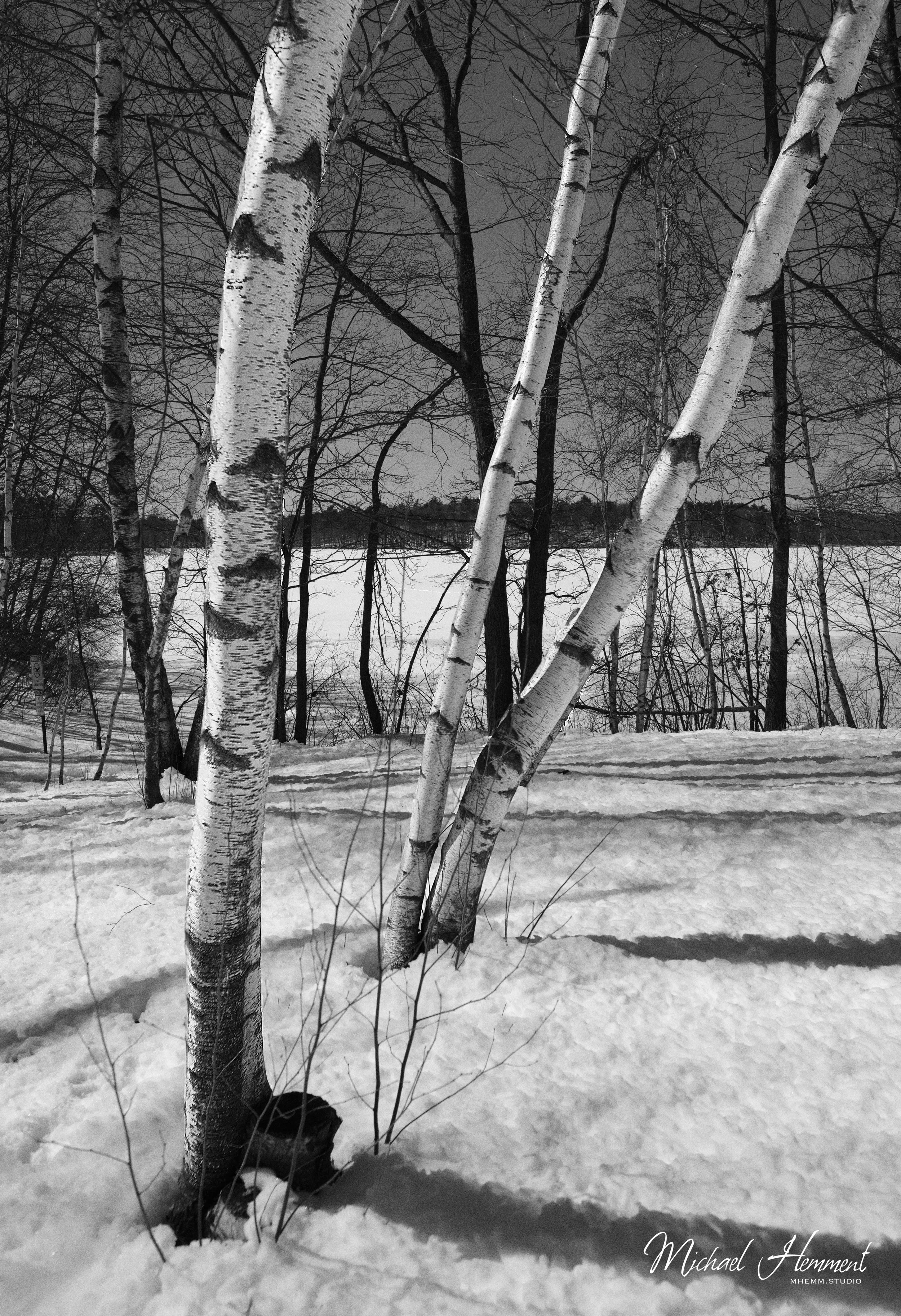 nature6.jpg