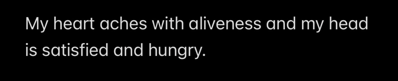 Screenshot 2026-04-11 at 5.07.26 PM.png