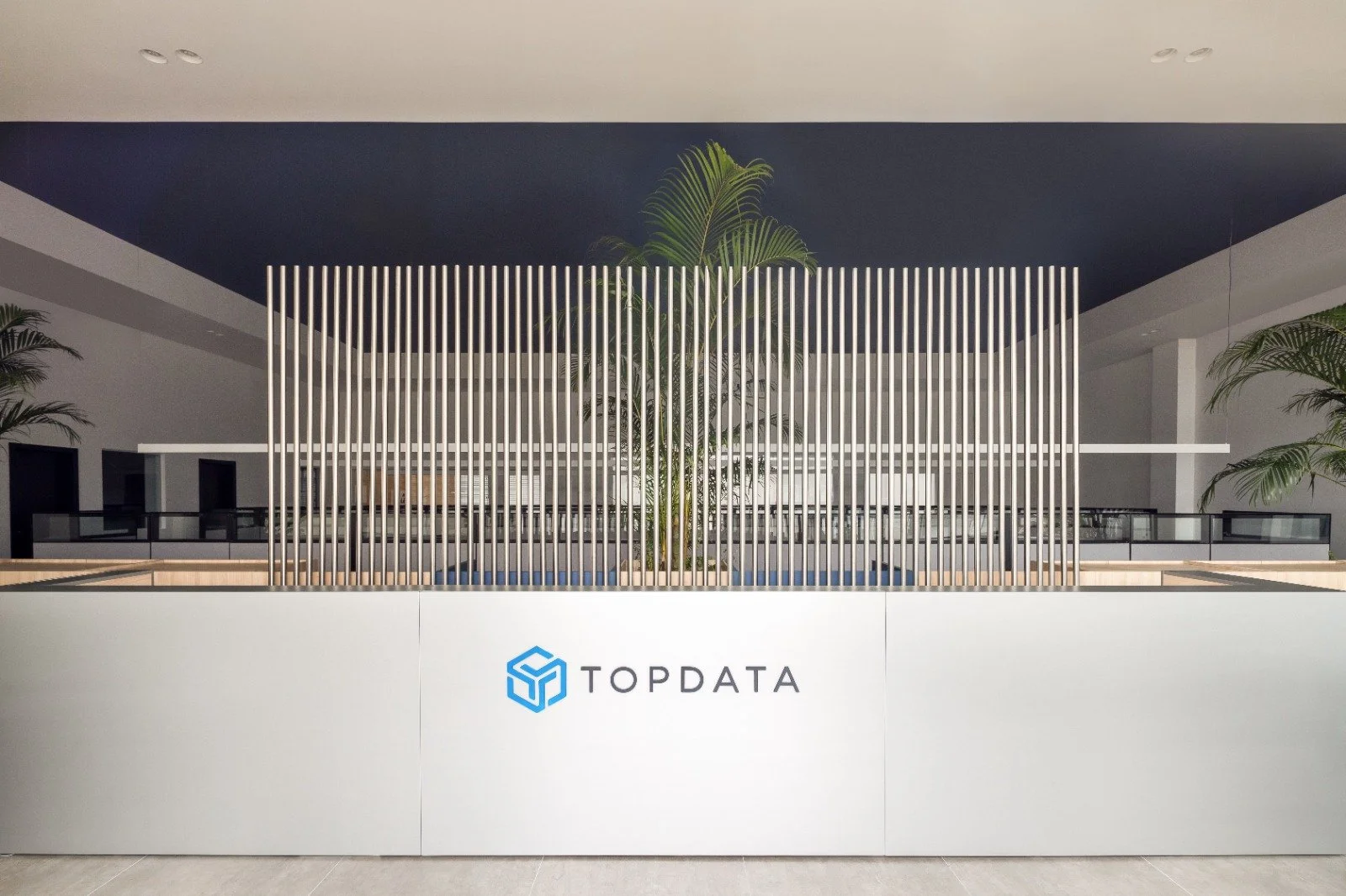 TN  Arquitetura - Topdata - Curitiba