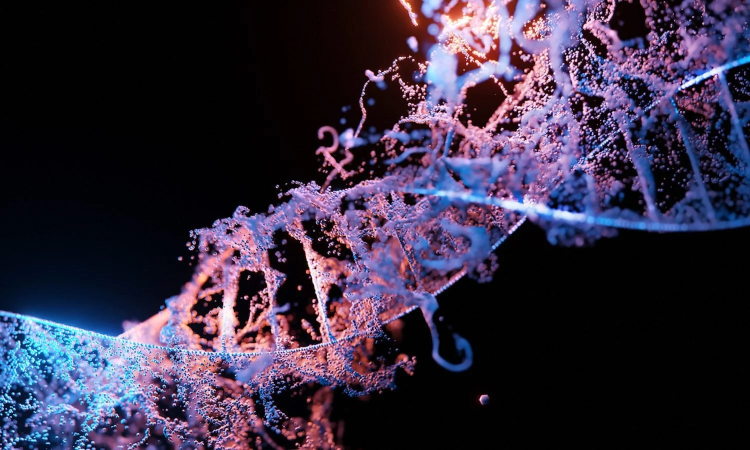 DNA, the recipe for who we are