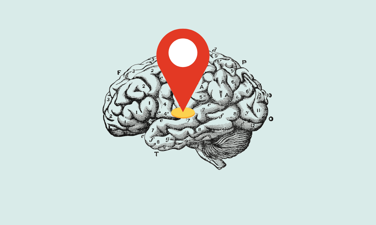 Cartography of human mind