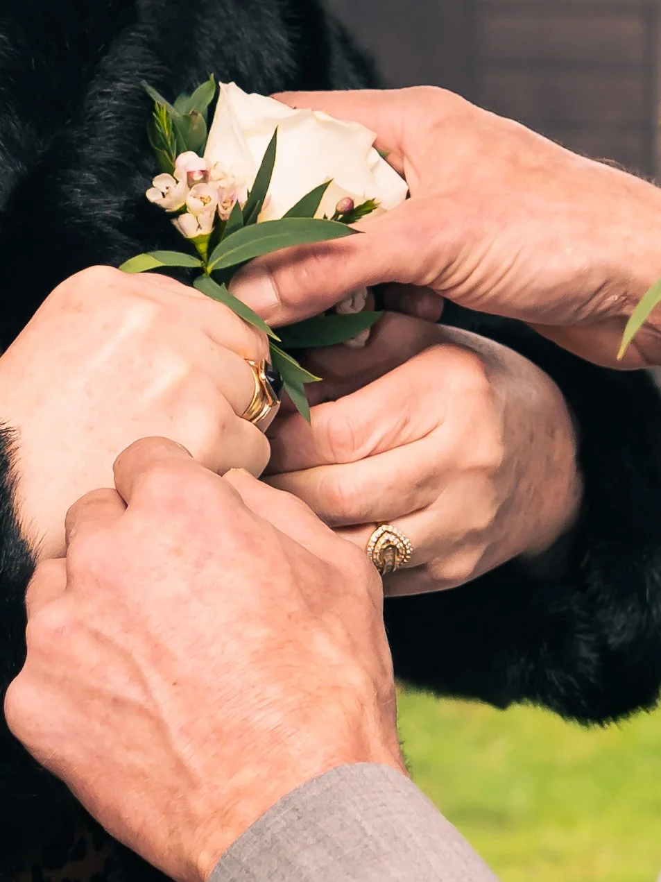 Close-up of an elderly couple's hands exchanging a boutonniere, with one hand holding a white flower surrounded by greenery and small pink flowers, all on a black fur coat background.