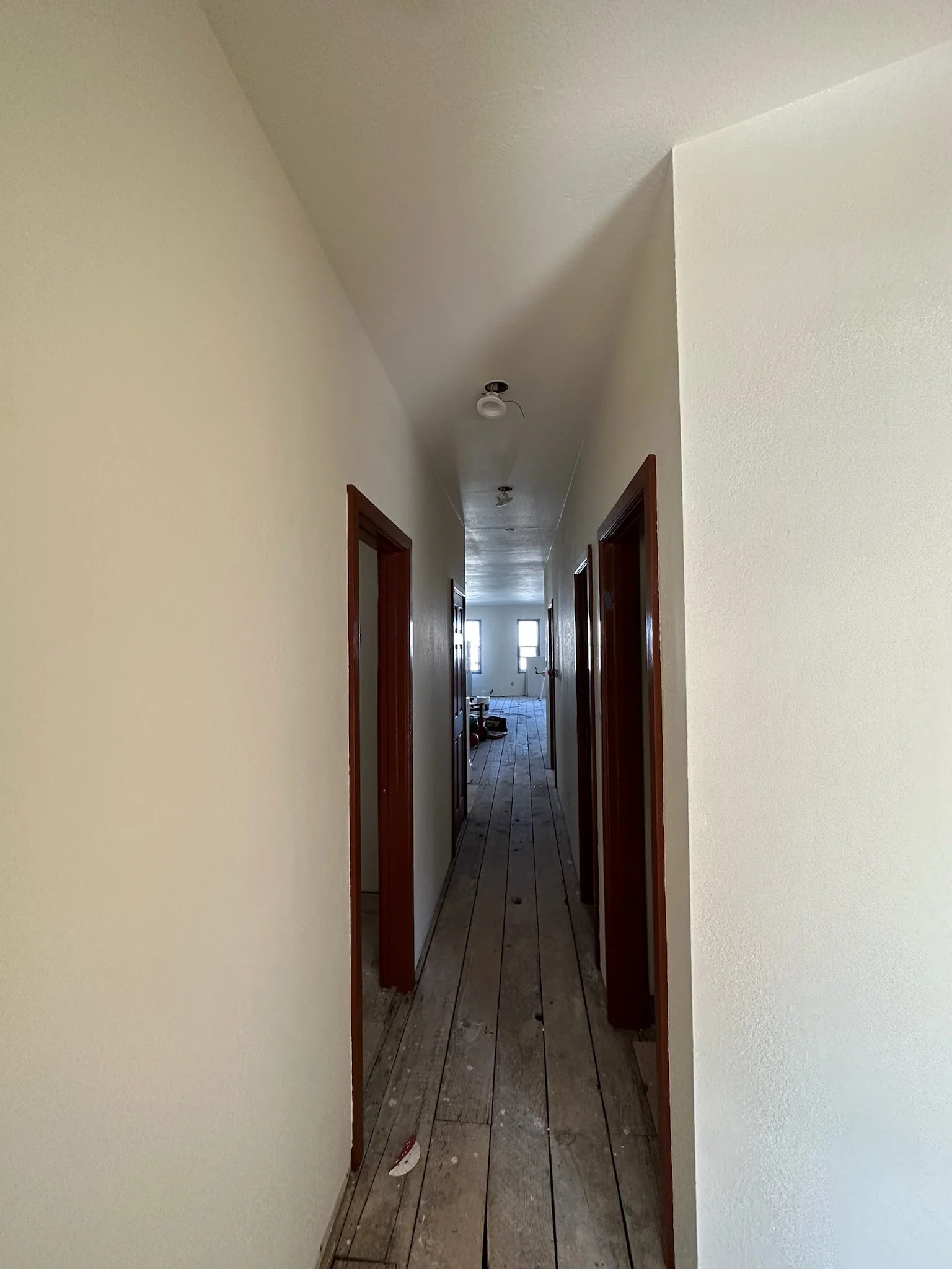 IMG_2143.jpeg