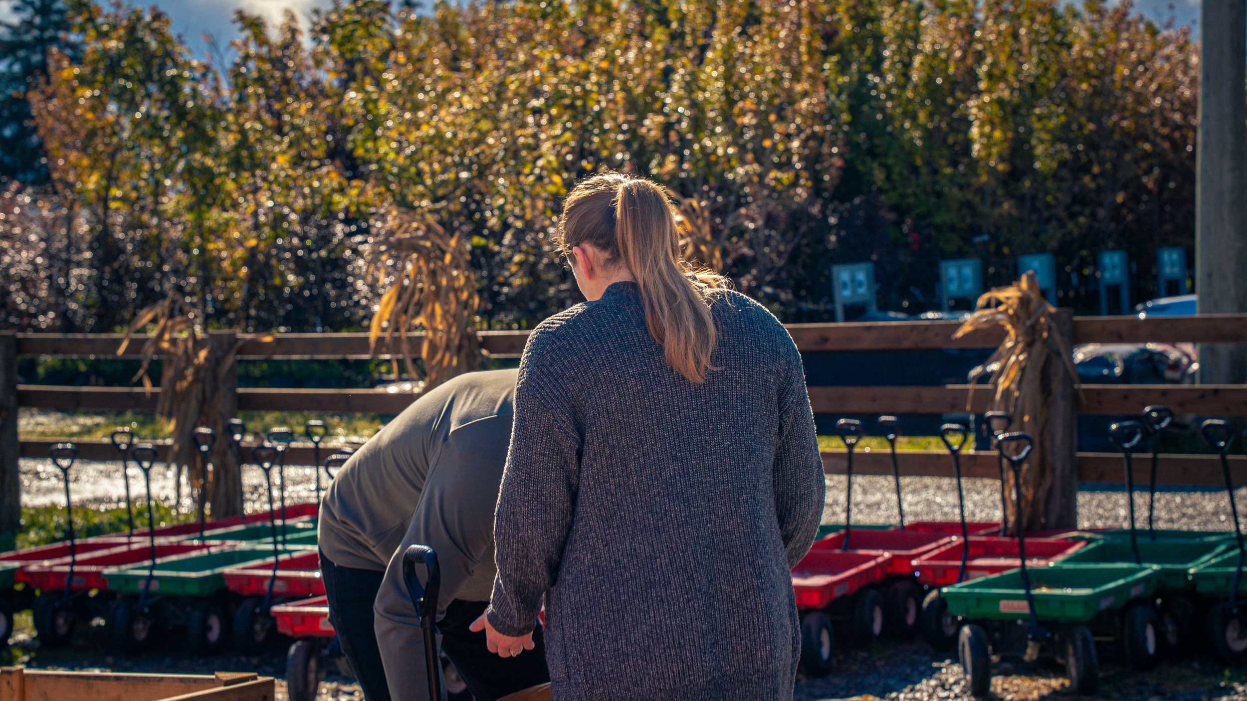 A woman with long hair tied back, wearing a dark sweater, stands outdoors on a sunny day, facing away from the camera. In front of her, a man with a walker, wearing a gray jacket, is bent over. They are near a wooden fence with dried plants, and behi