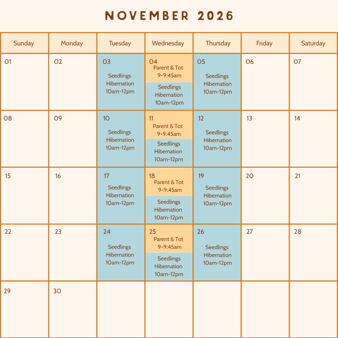November 2026 calendar with weekly schedule for Seedlings Hibernation sessions every Tuesday, Thursday, and Friday from 10am to 12pm, and Parent & Tot meetings on Wednesdays from 9 to 9:45am.
