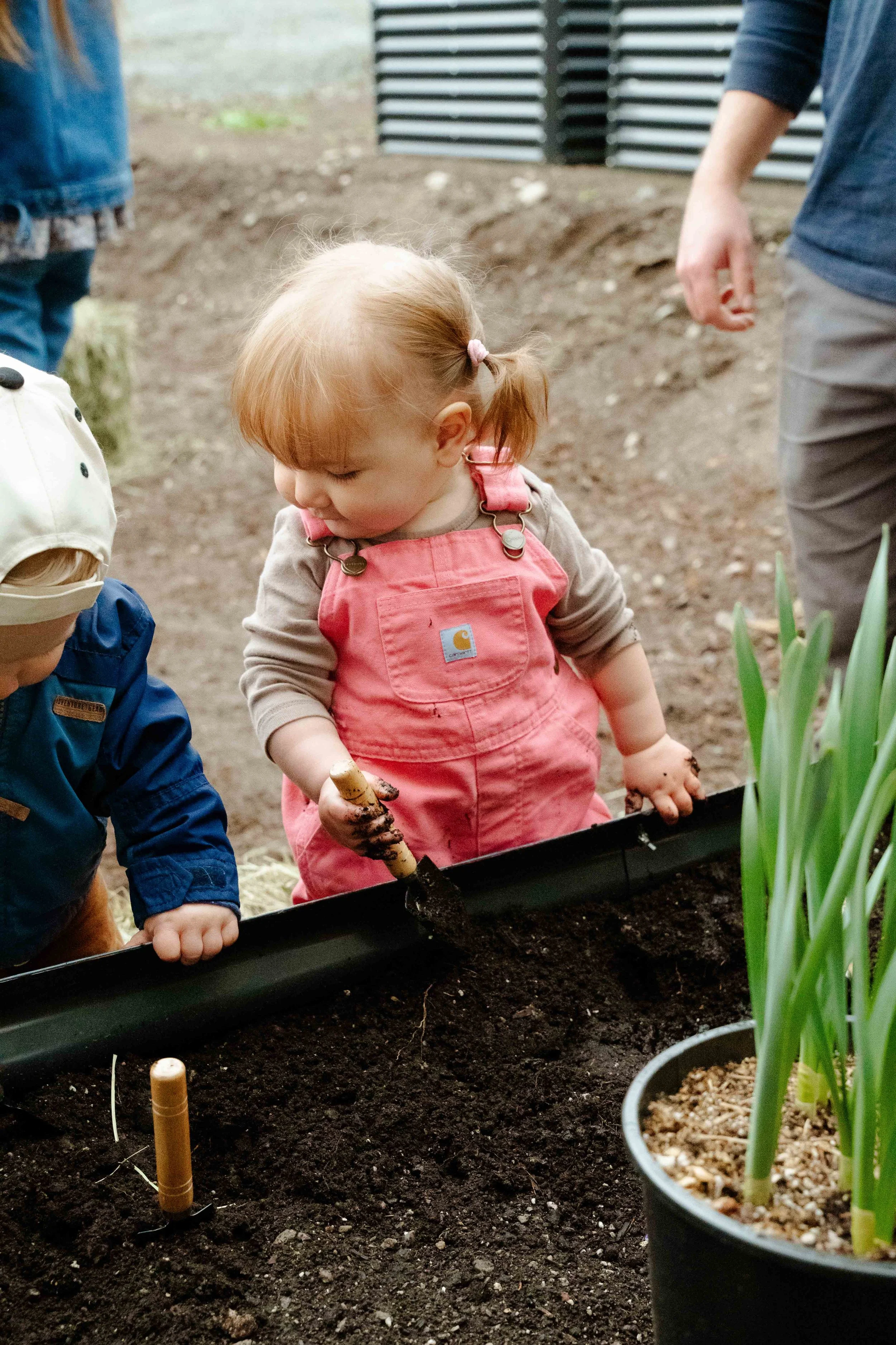 A young girl in pink overalls planting a seedling in a garden bed, surrounded by gardening tools and potted plants.