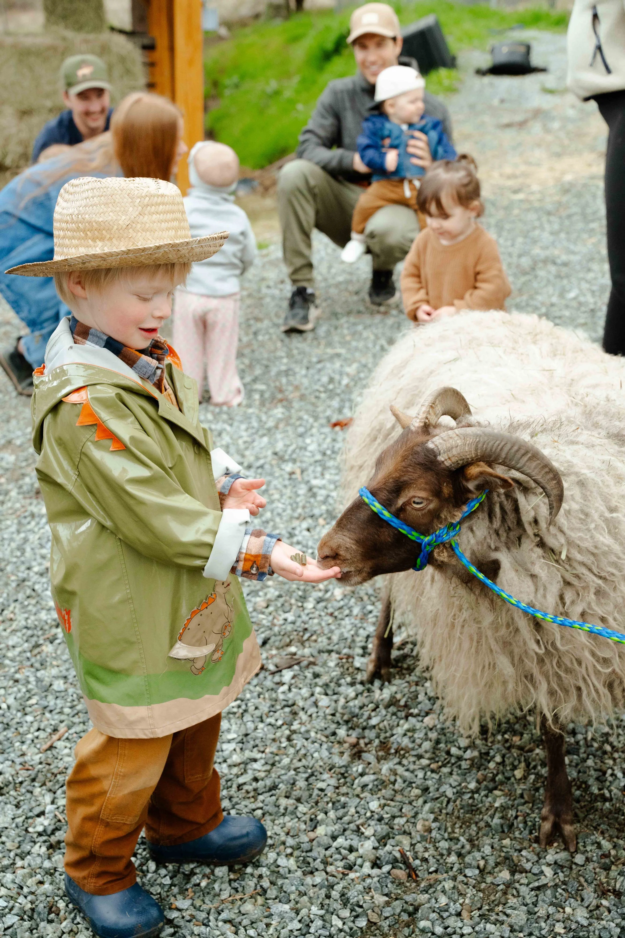 Young boy in rain boots and a straw hat feeding a sheep, with a group of children and adults in the background outdoors.