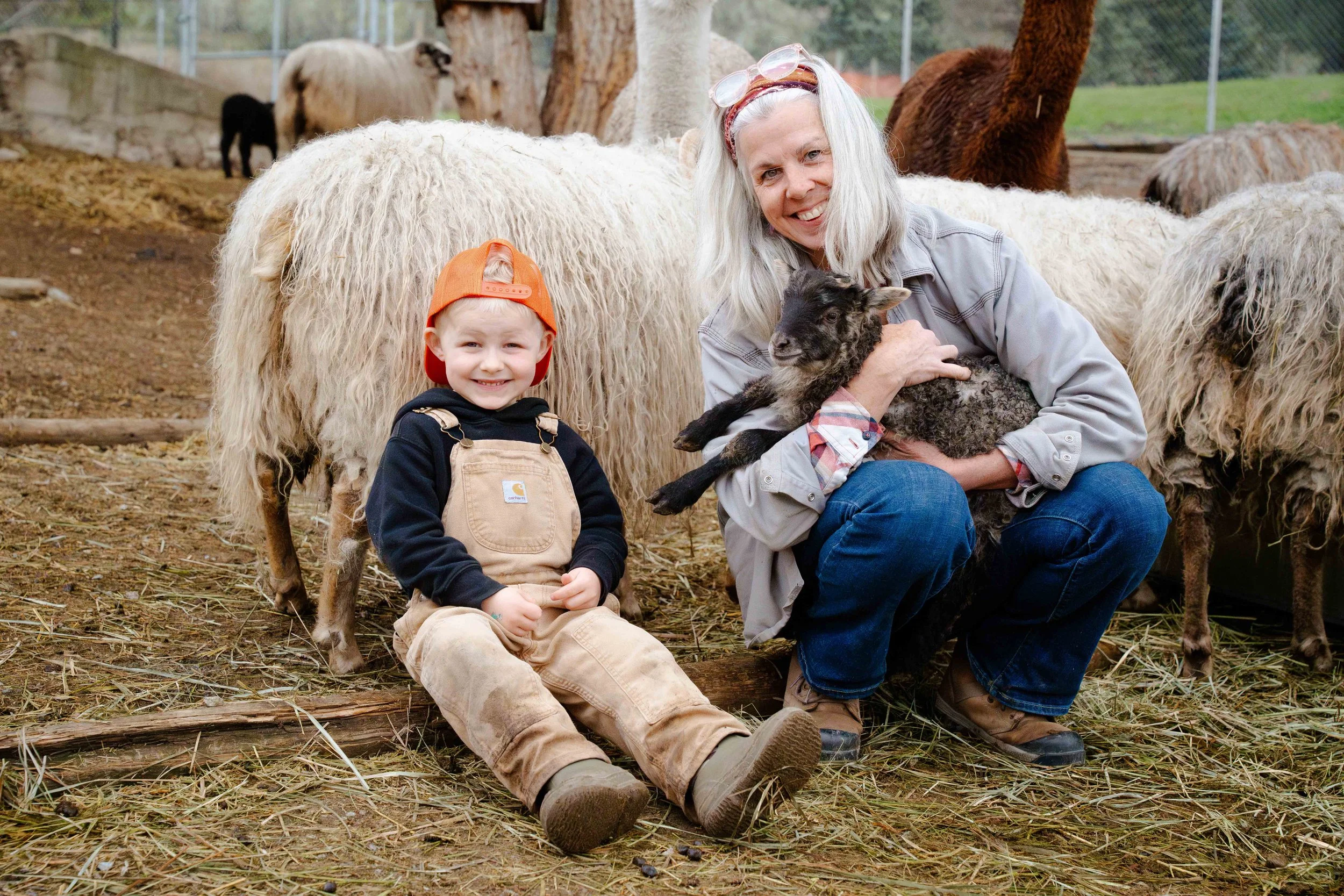 An elderly woman and young boy smiling at the camera while surrounded by sheep at a farm or petting area, with the woman holding a black lamb.