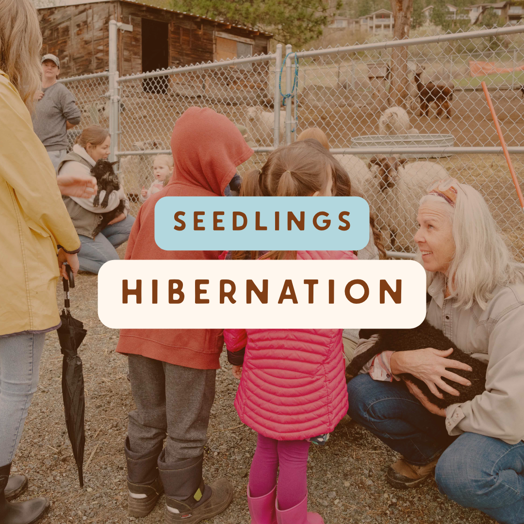 Seedling Hibernation & Holiday (Ages 2-5)