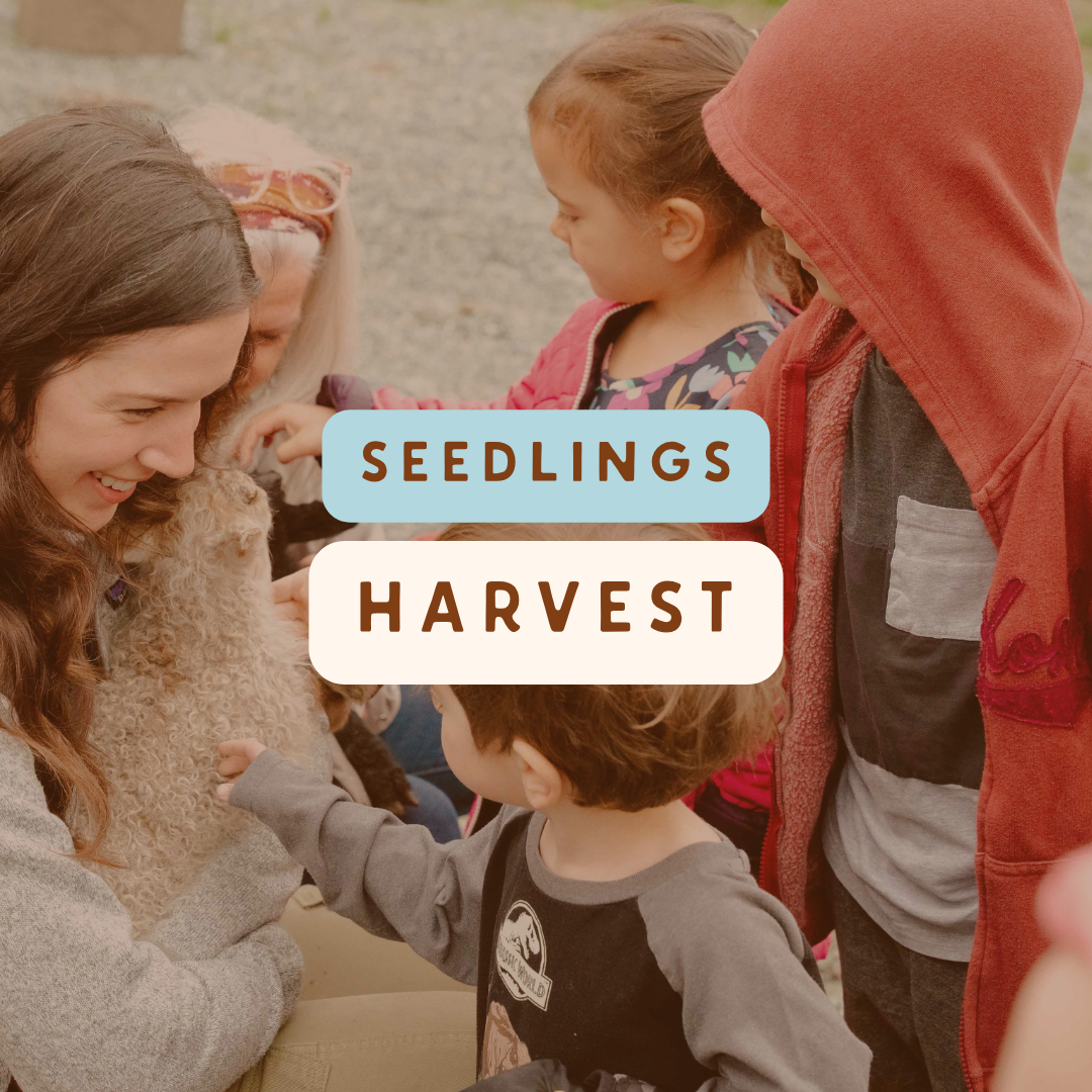 Seedling Harvest (Ages 2-5)