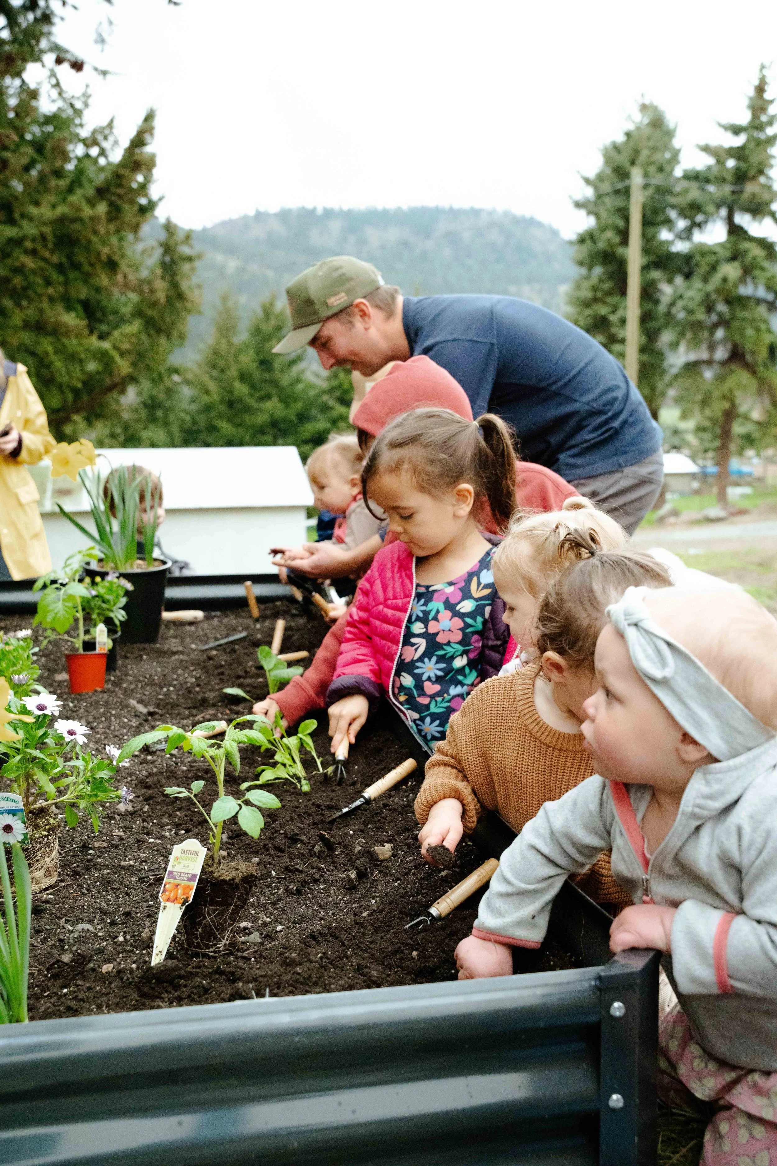 Children and a man planting flowers in a garden bed outdoors.