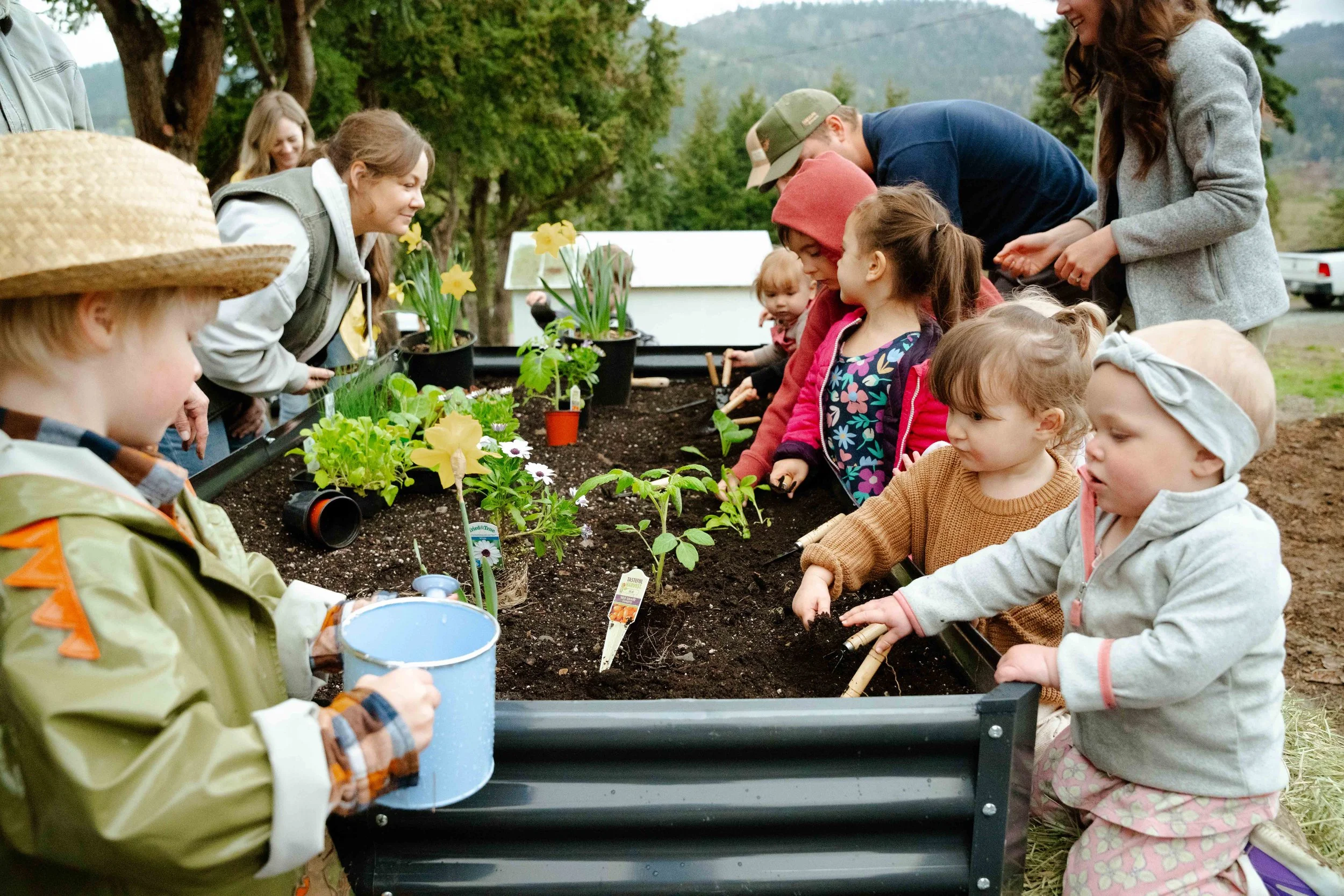 Children and adults planting flowers in a garden bed outdoors, with mountains and trees in the background.