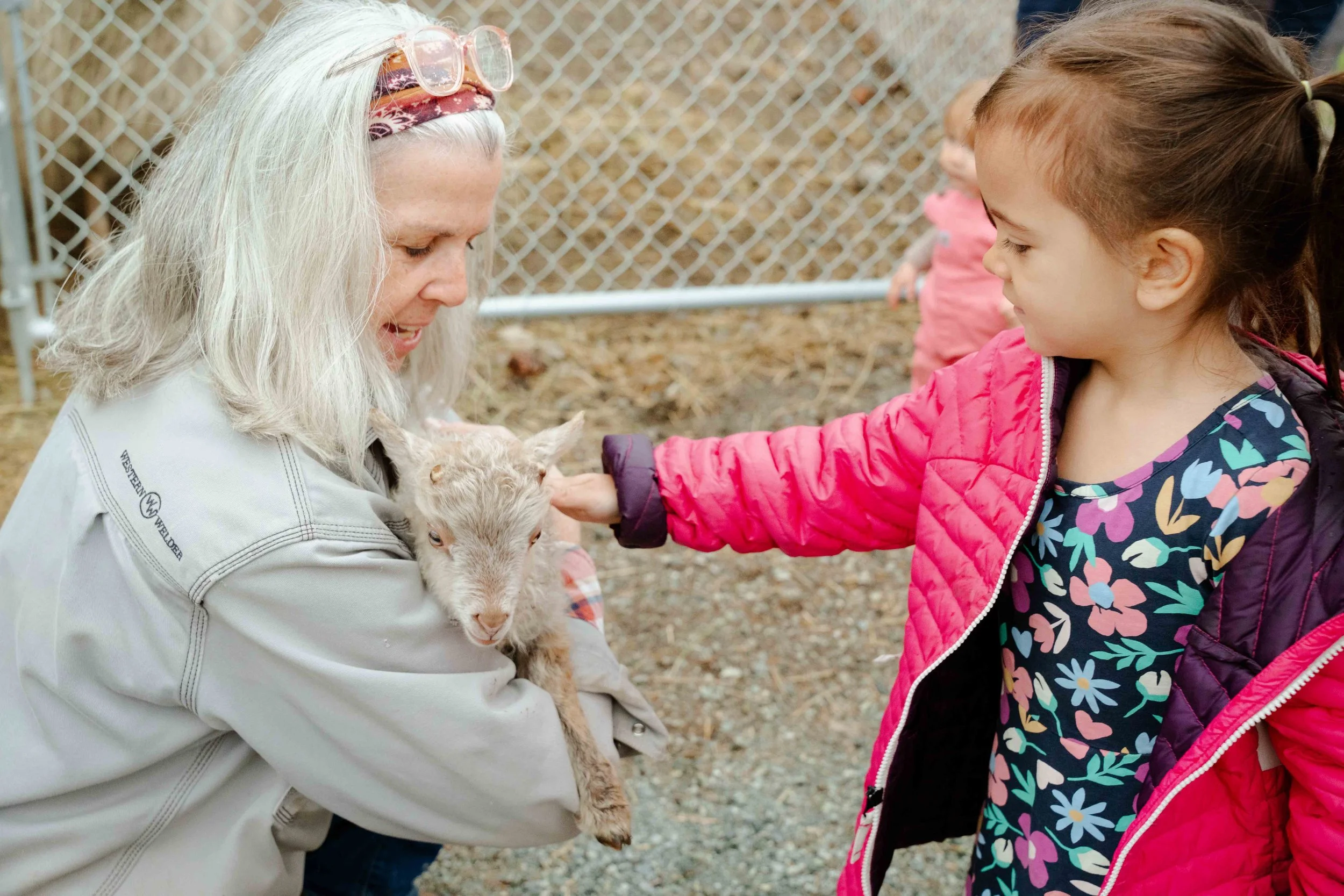 A woman and a young girl are smiling at each other while holding a baby goat at a petting zoo. The woman has long gray hair, wearing glasses on her head, and a light-colored jacket. The girl has brown hair tied back, wearing a colorful floral shirt and a pink jacket.