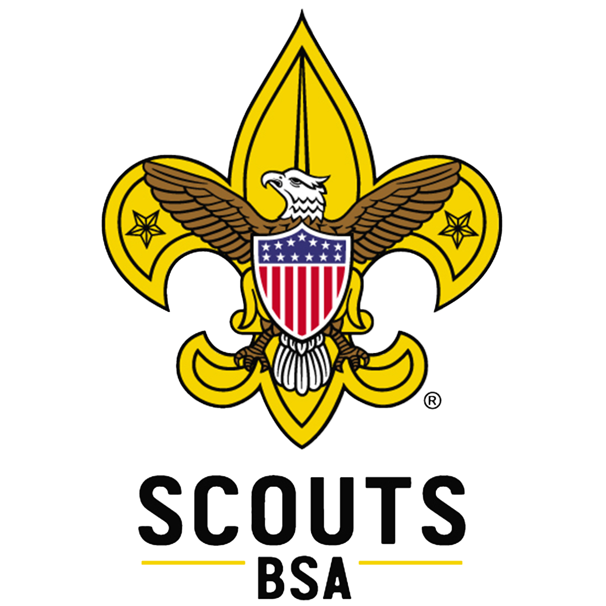 Charity Organization