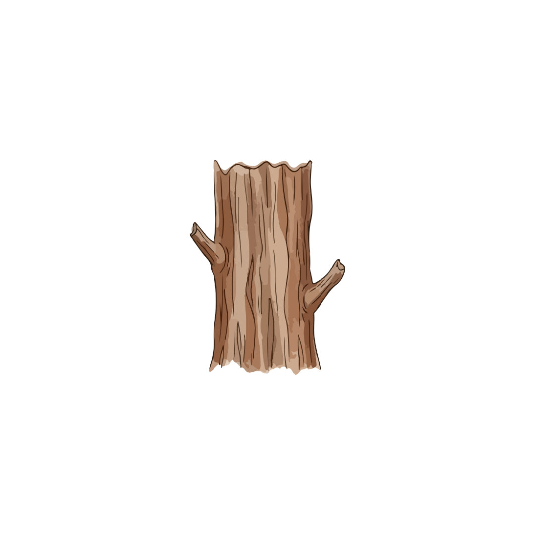Illustration of a tree trunk with no leaves and two small branches