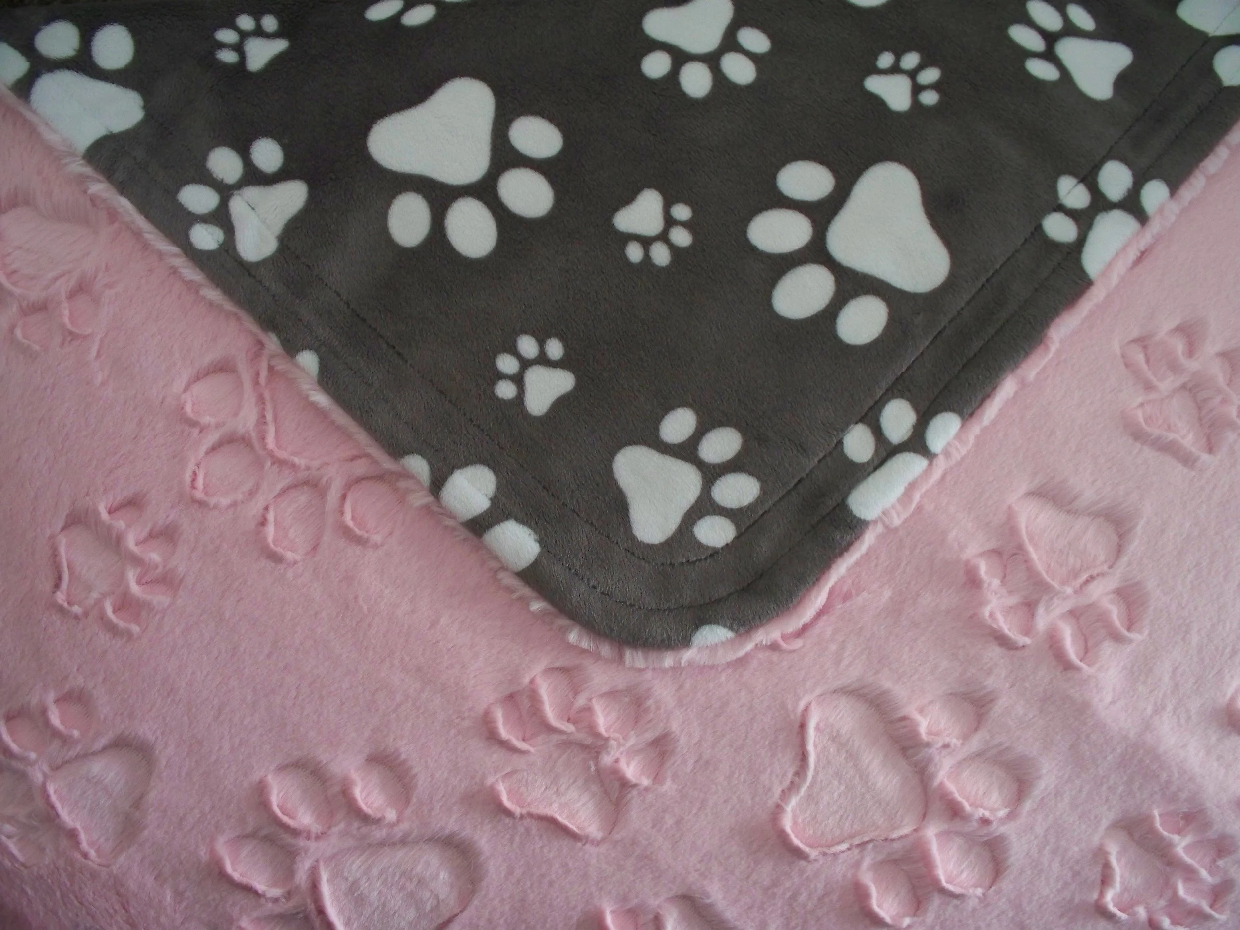 Pawfect Pink