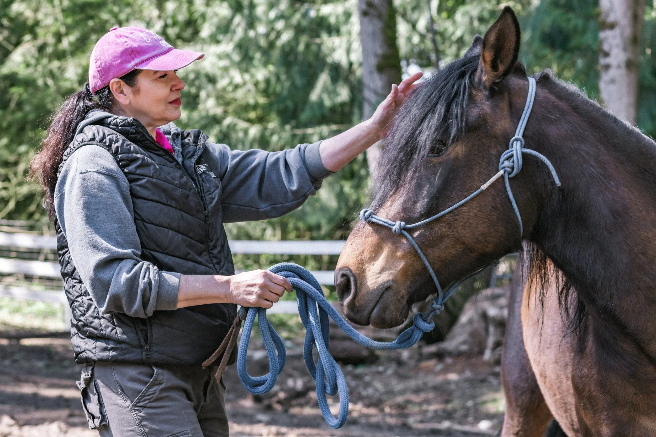 🐾 Animal Communication Session
