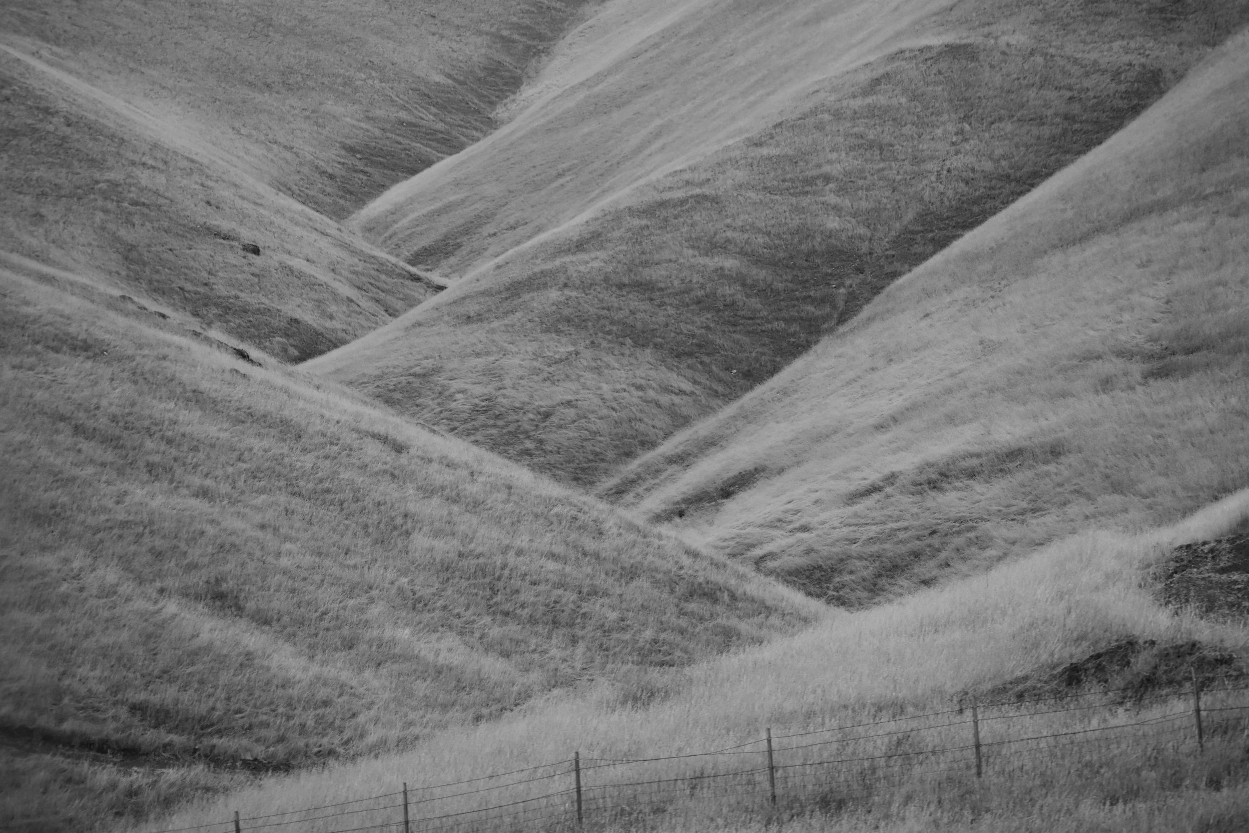 DSC_0955 copy 2.jpg