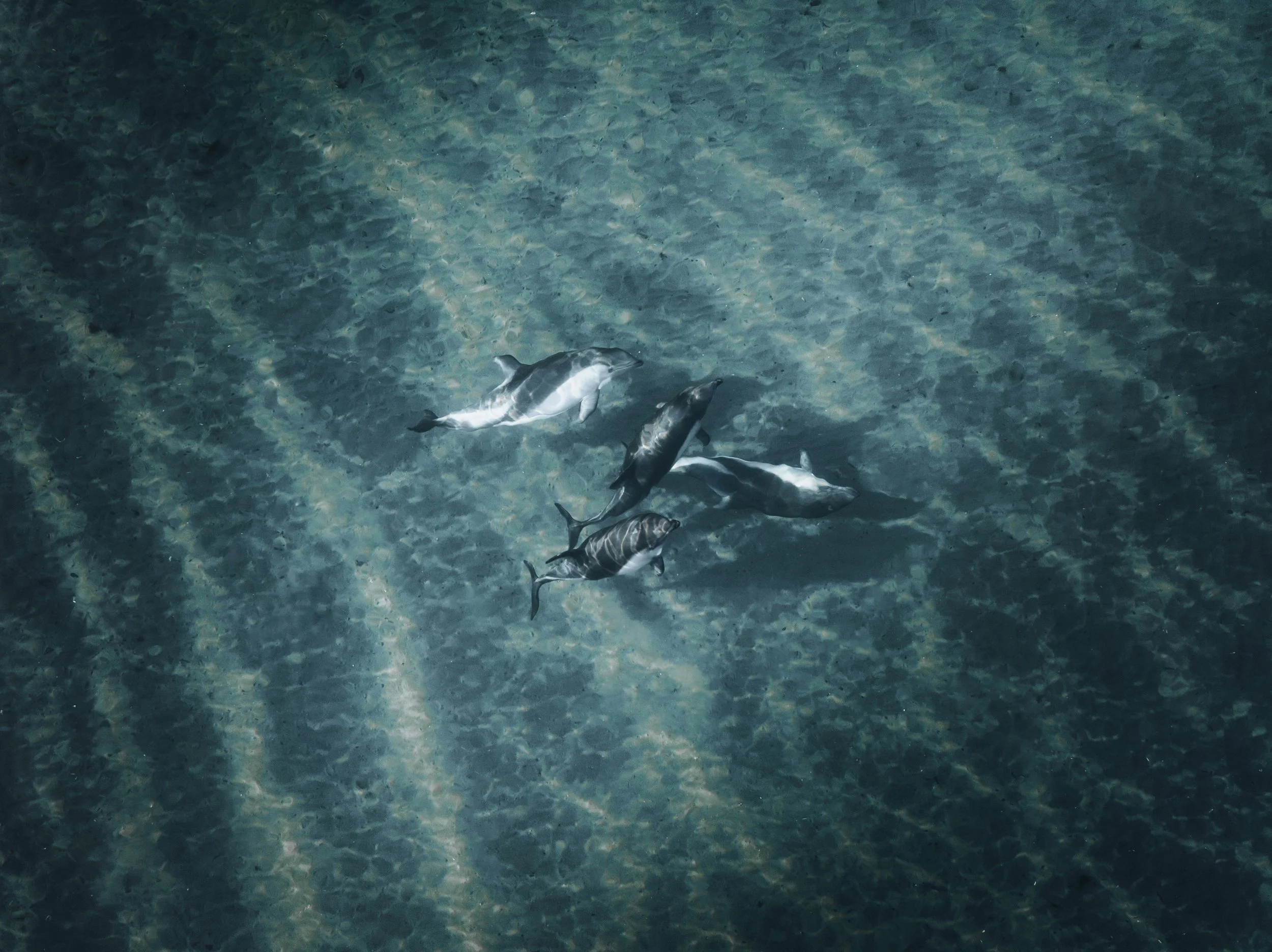 DJI_0371.jpg